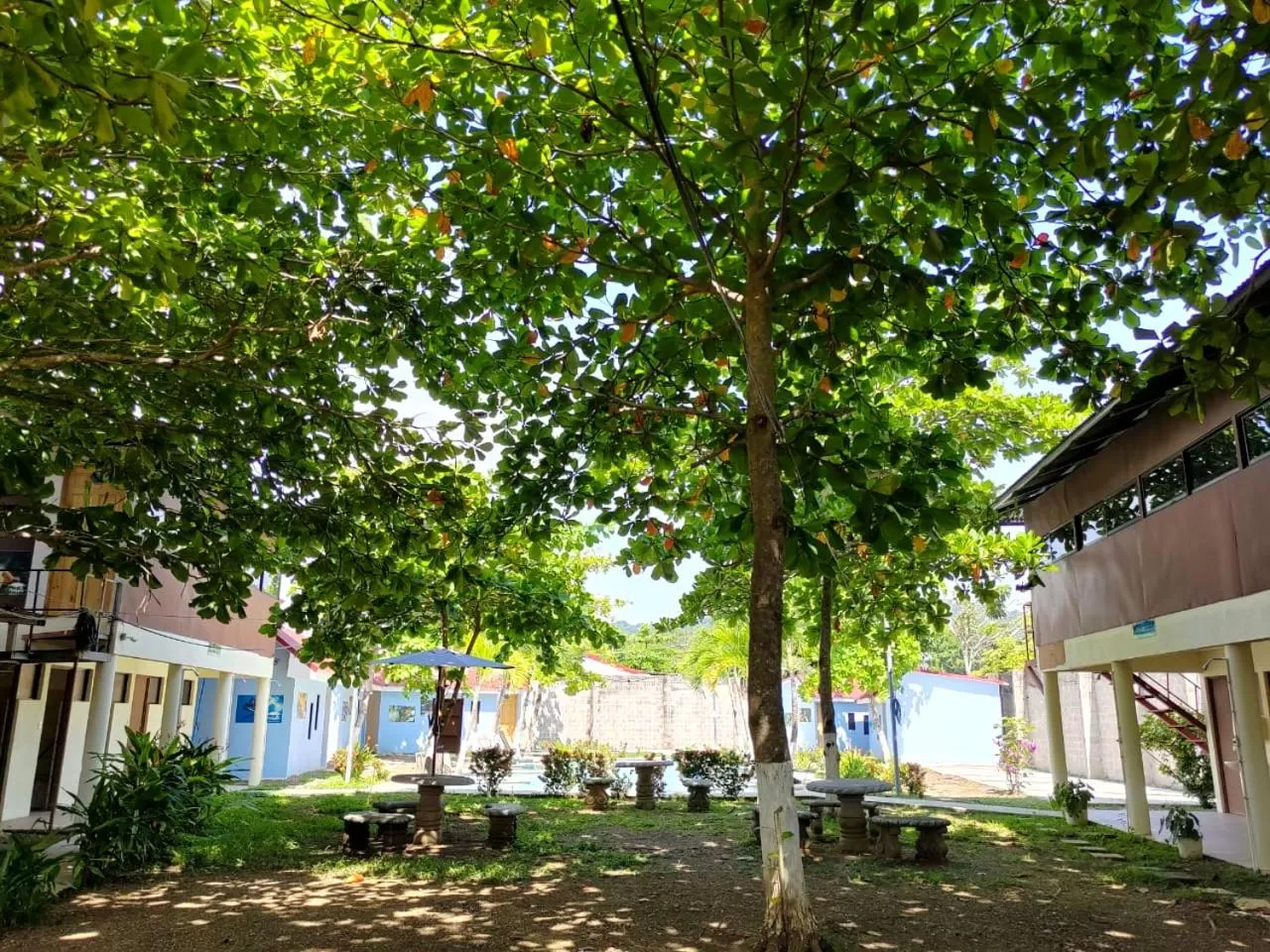 Patio, Garden in Hotel Catappa