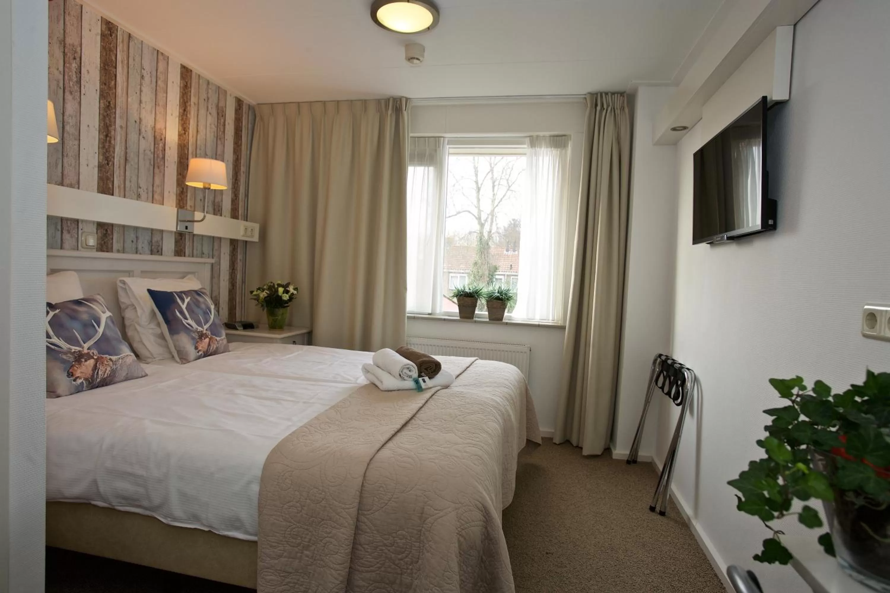 Photo of the whole room in B&B - Pension Perruque