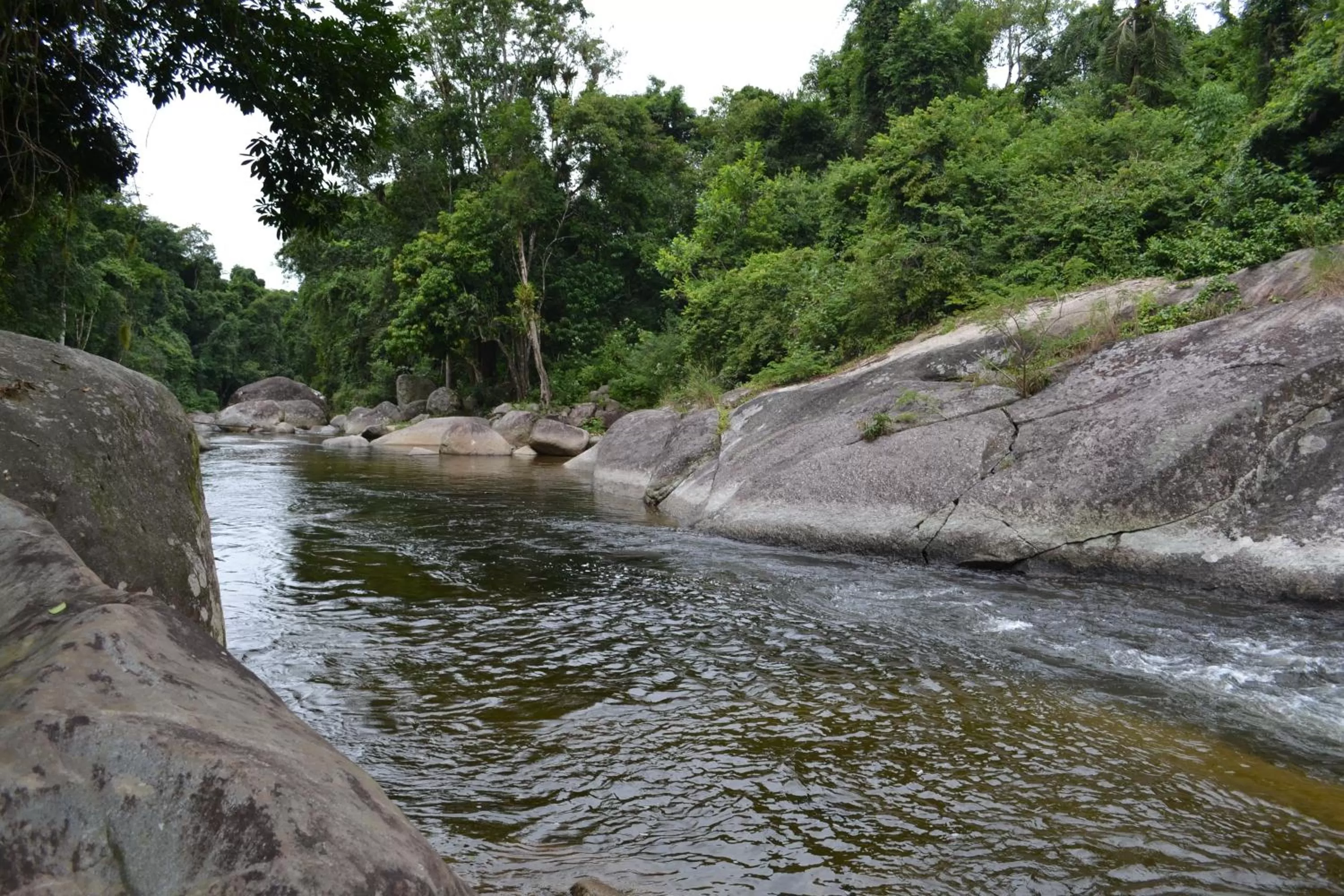 Natural landscape in Pousada Canto do Curió Paraty