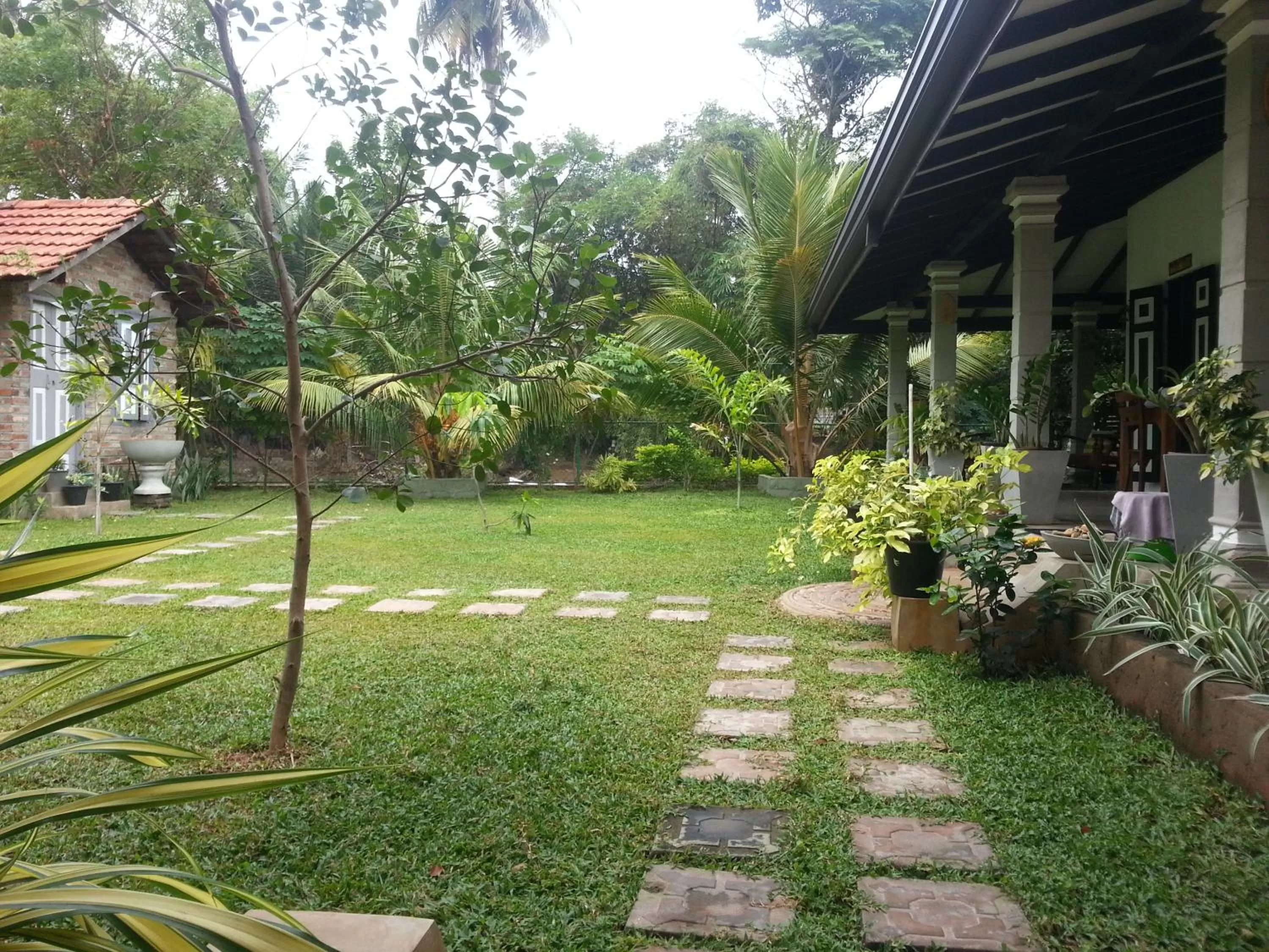 Garden in Green Wood Villa Negombo