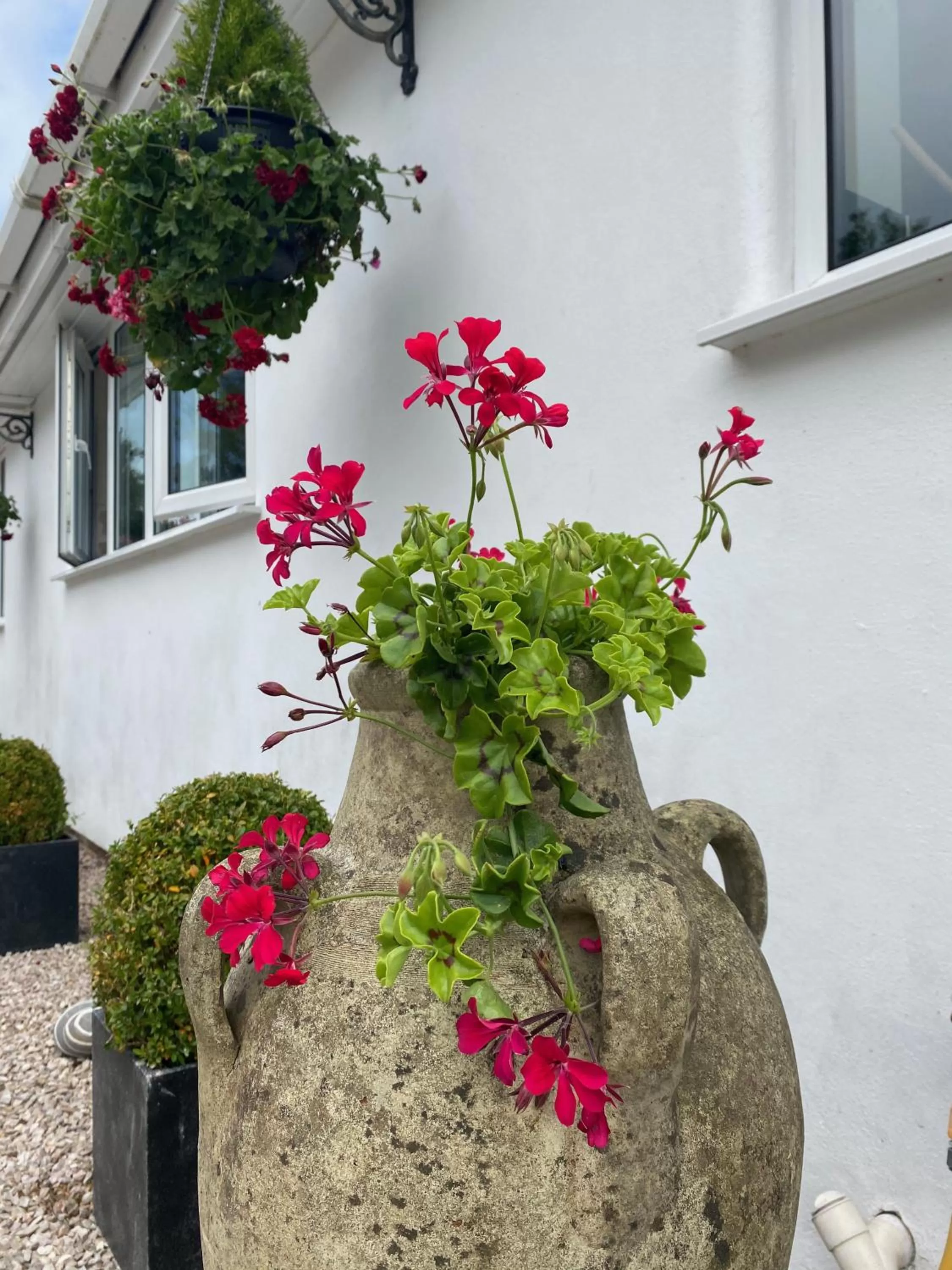 Toppesfield House B&B