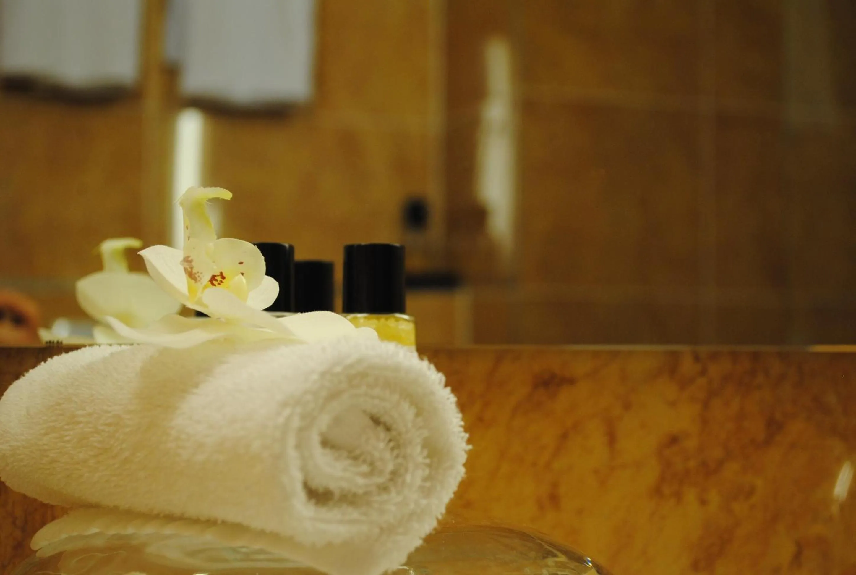 Standard Single Room in relexa hotel Stuttgarter Hof