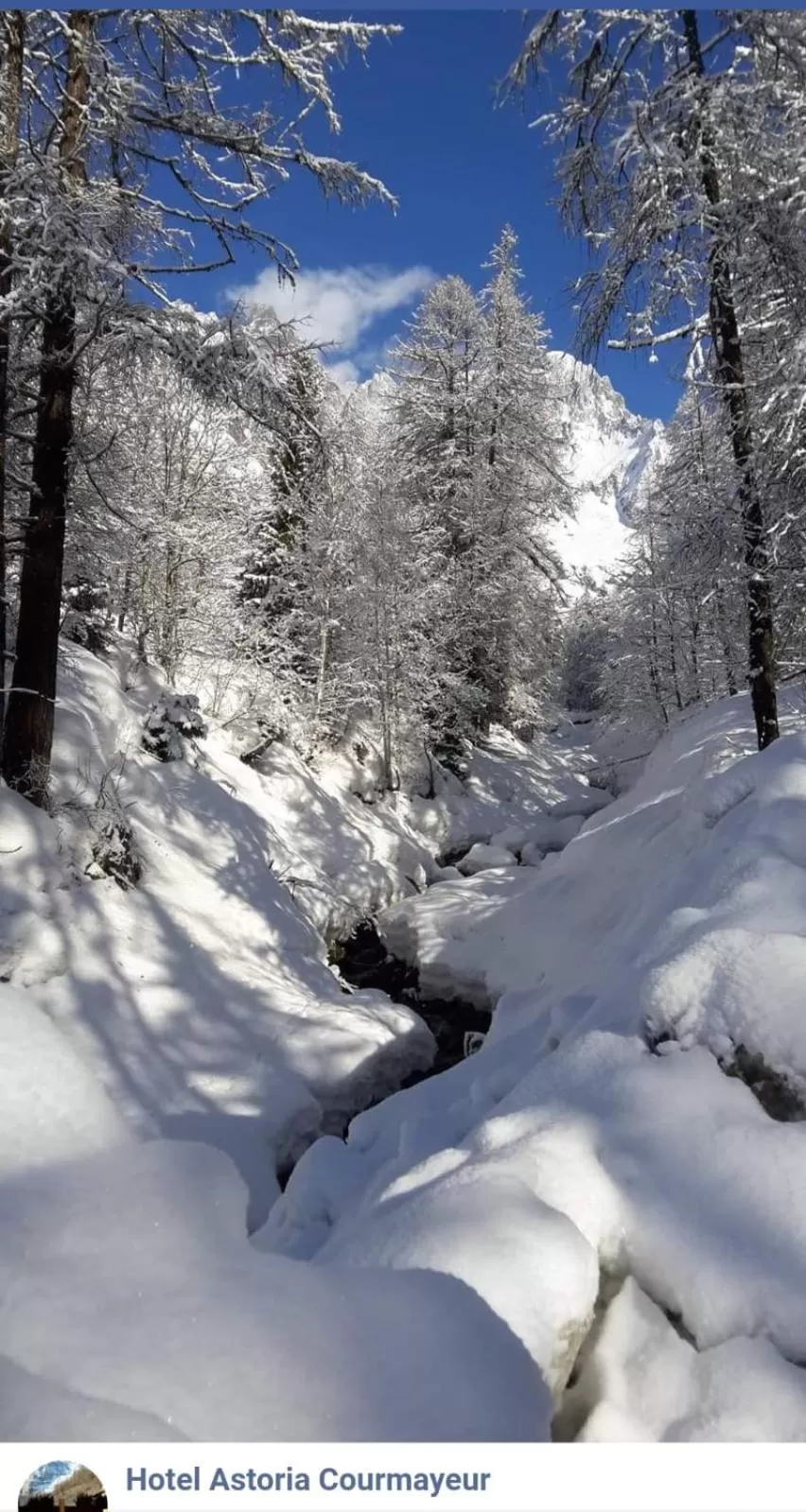 Other in Hotel Astoria