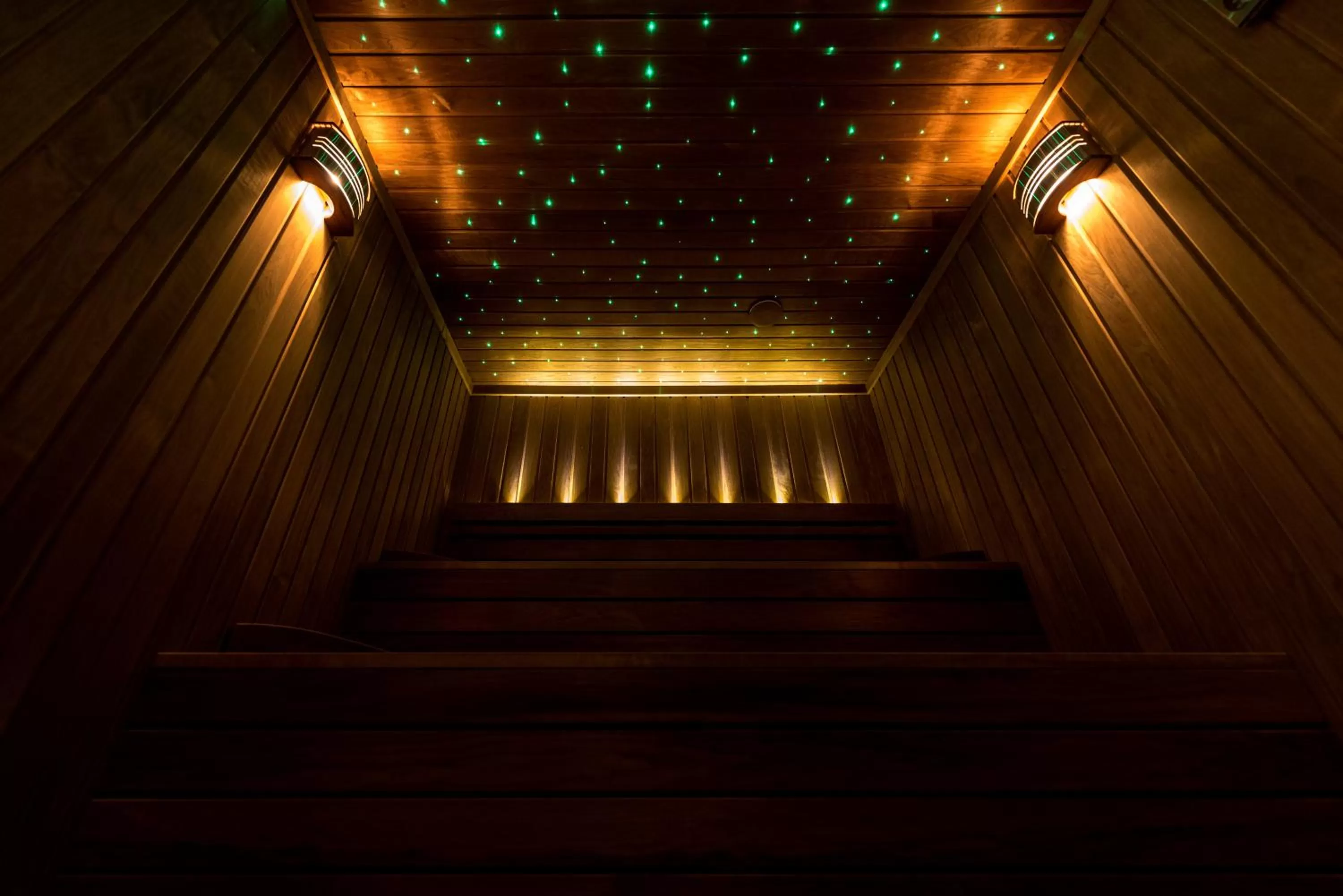 Sauna in Fidelitas Hotel