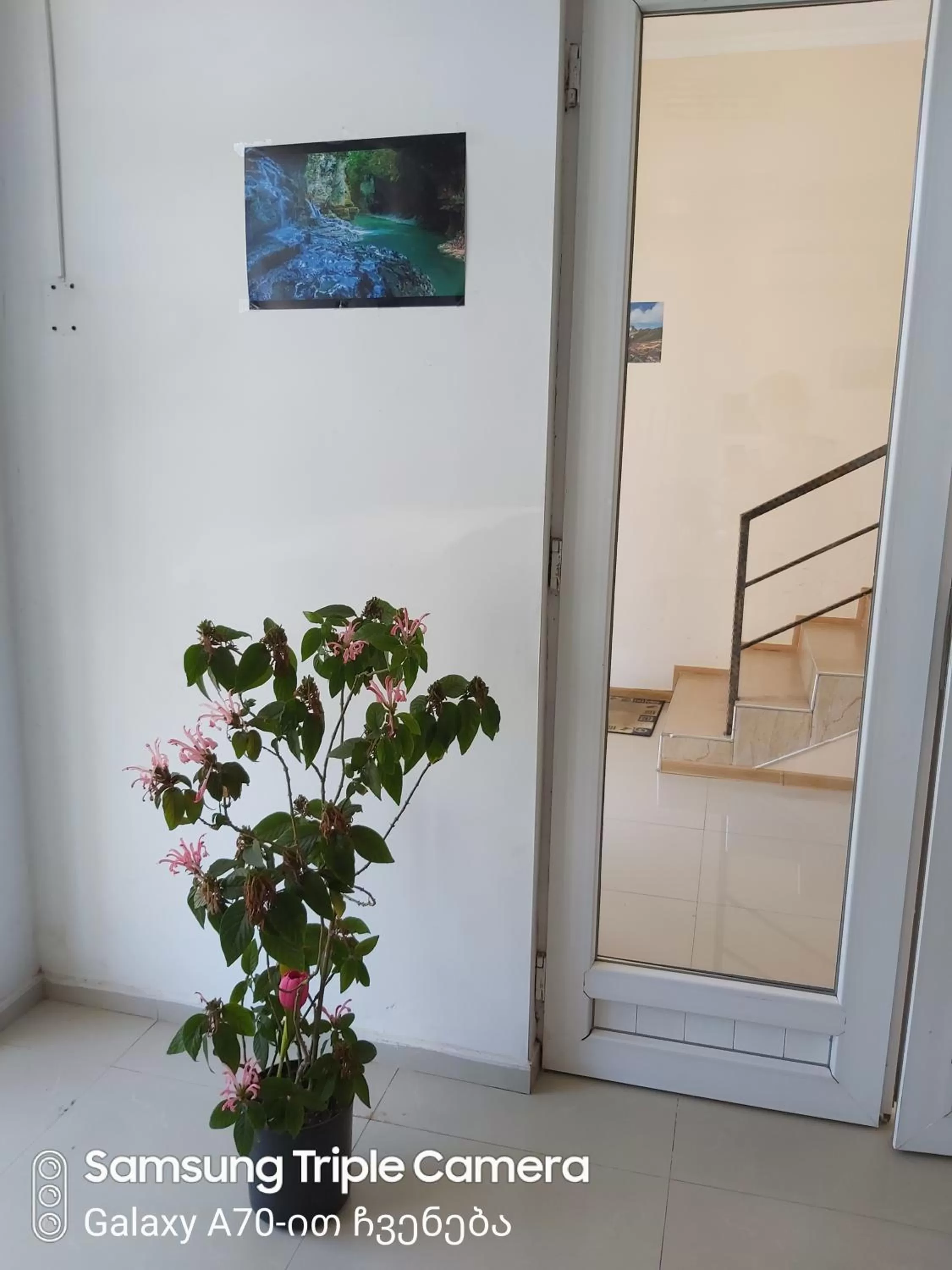 Facade/entrance in Martvili Newhotel