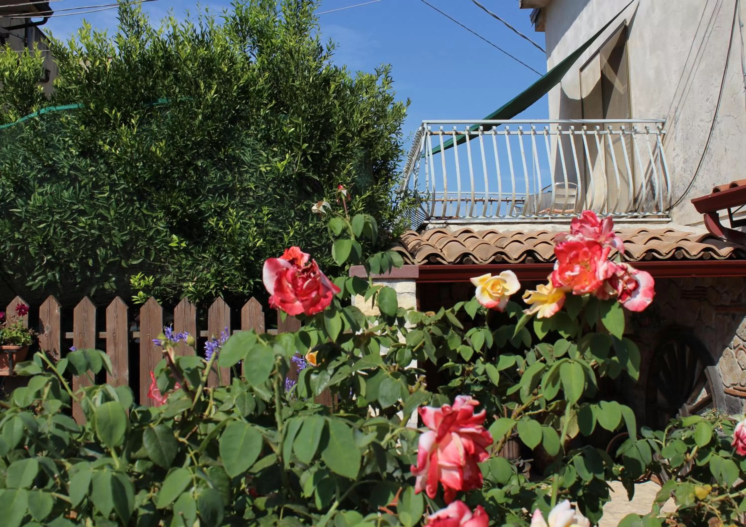Balcony/Terrace, Property Building in B&B La Vigna