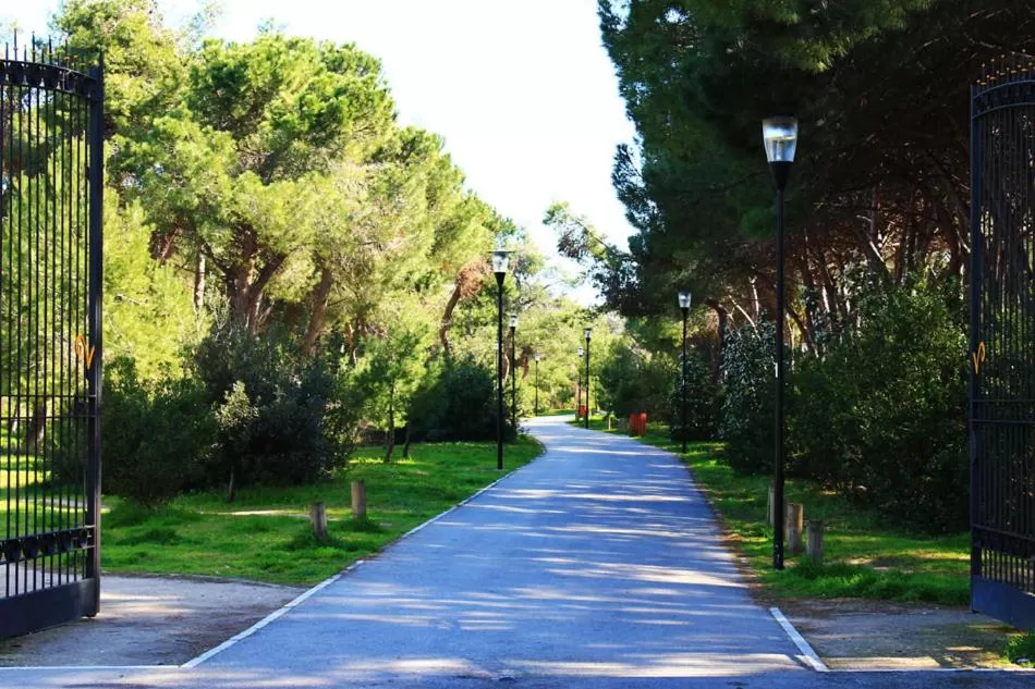 Garden in Carducci 83