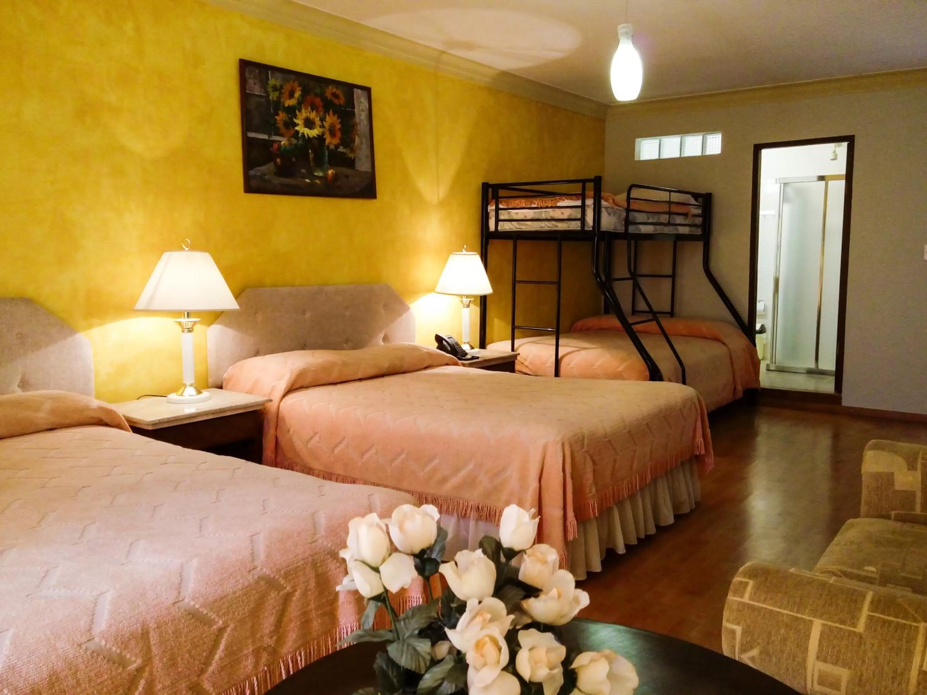 Photo of the whole room in Hotel Los Ceibos