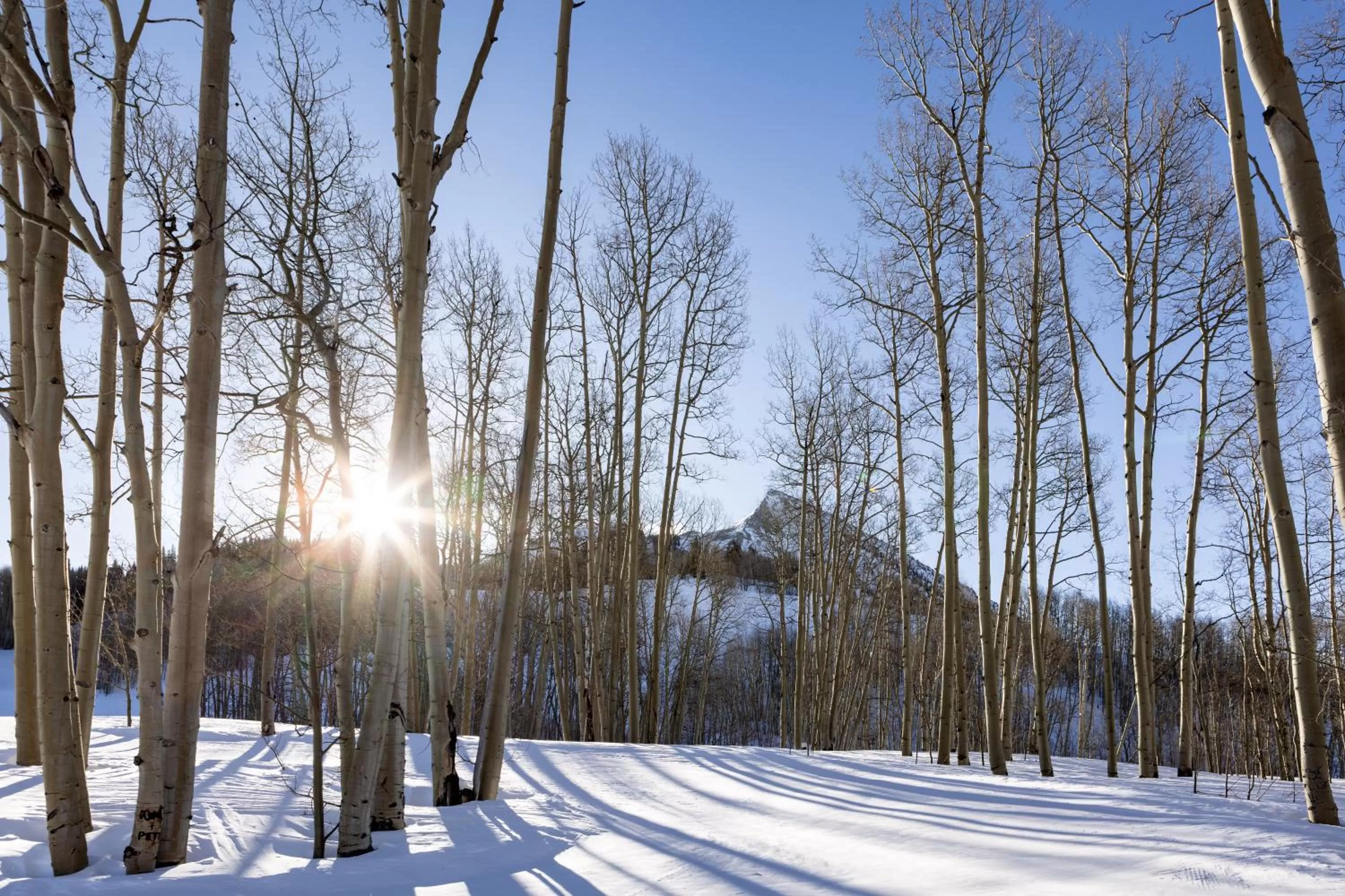 Natural landscape in Elevation Hotel & Spa