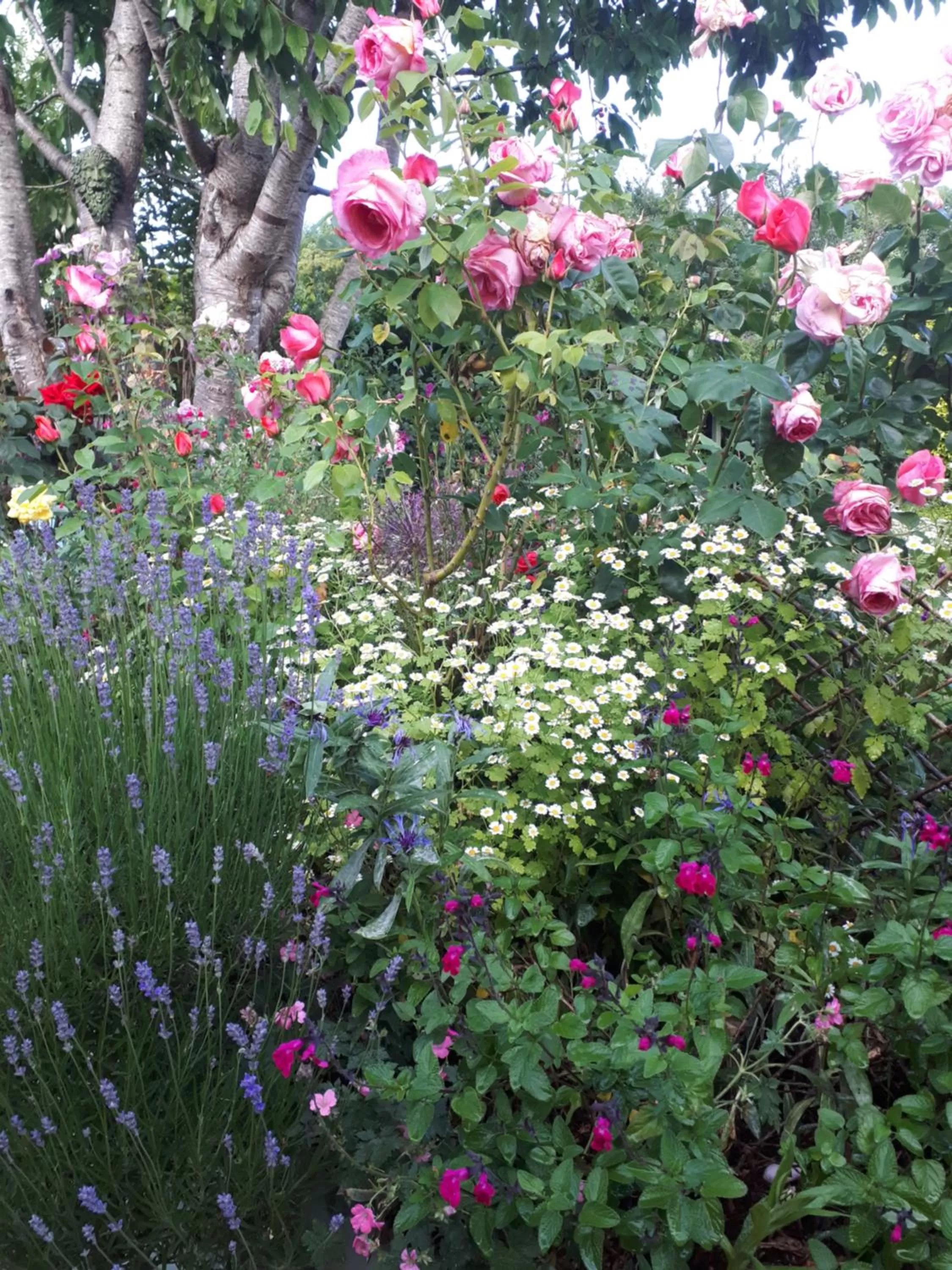 Santi Bhavana Bed & Breakfast