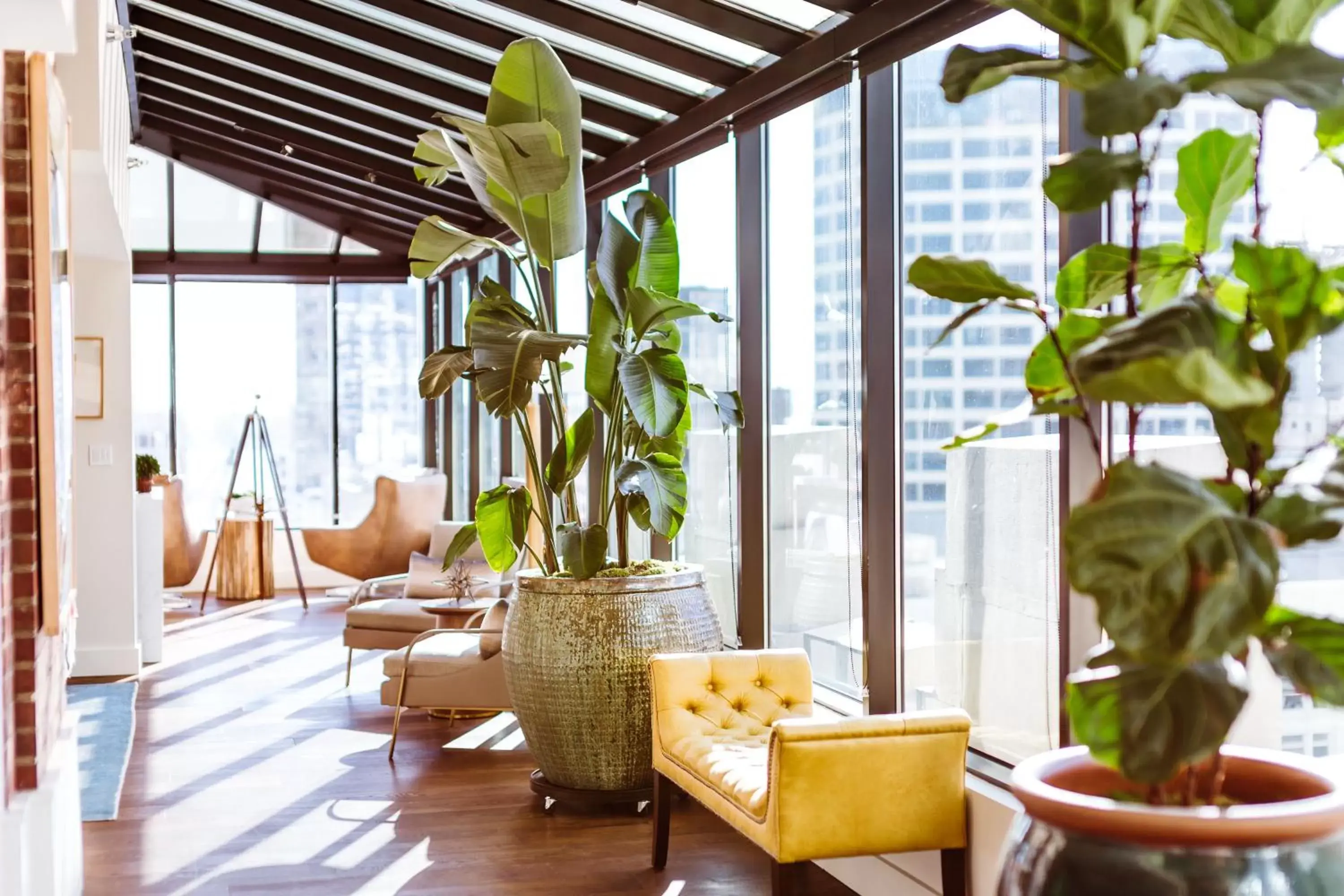 Penthouse Apartment in Hotel Theodore Penthouse Apartment in Hotel Theodore