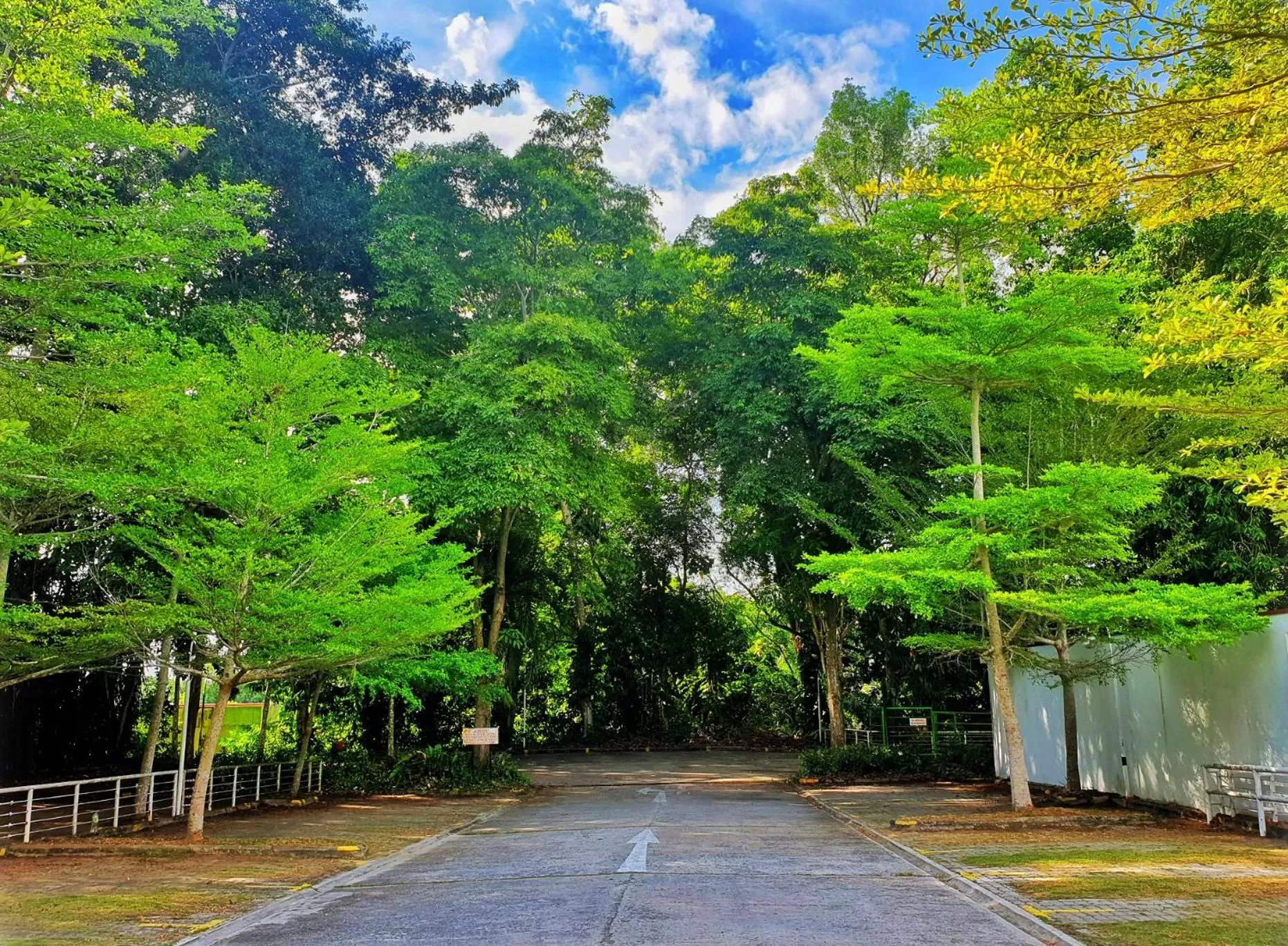 Natural landscape in Sabah Hotel