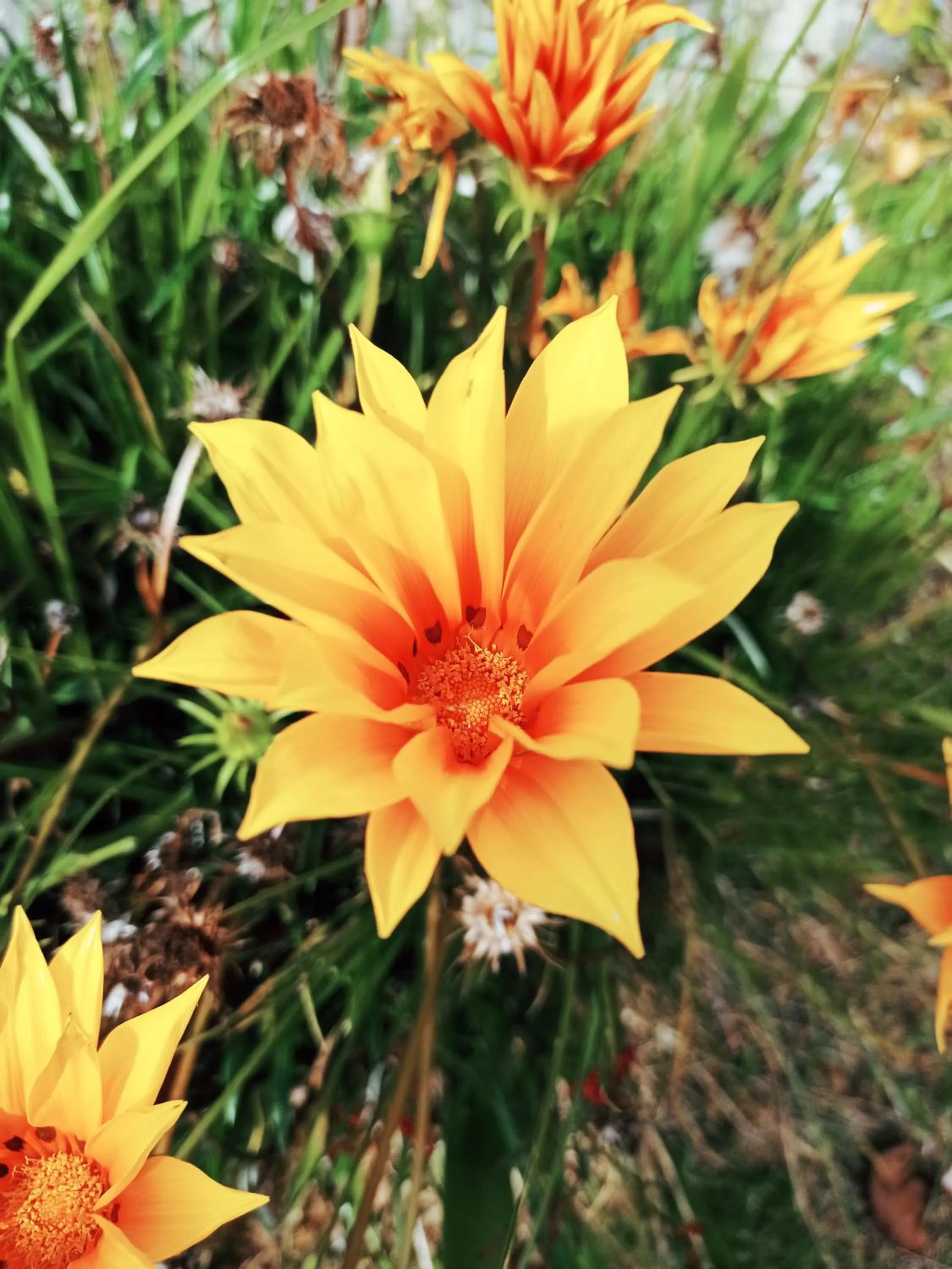 Hotel Refugio Pozo Azul