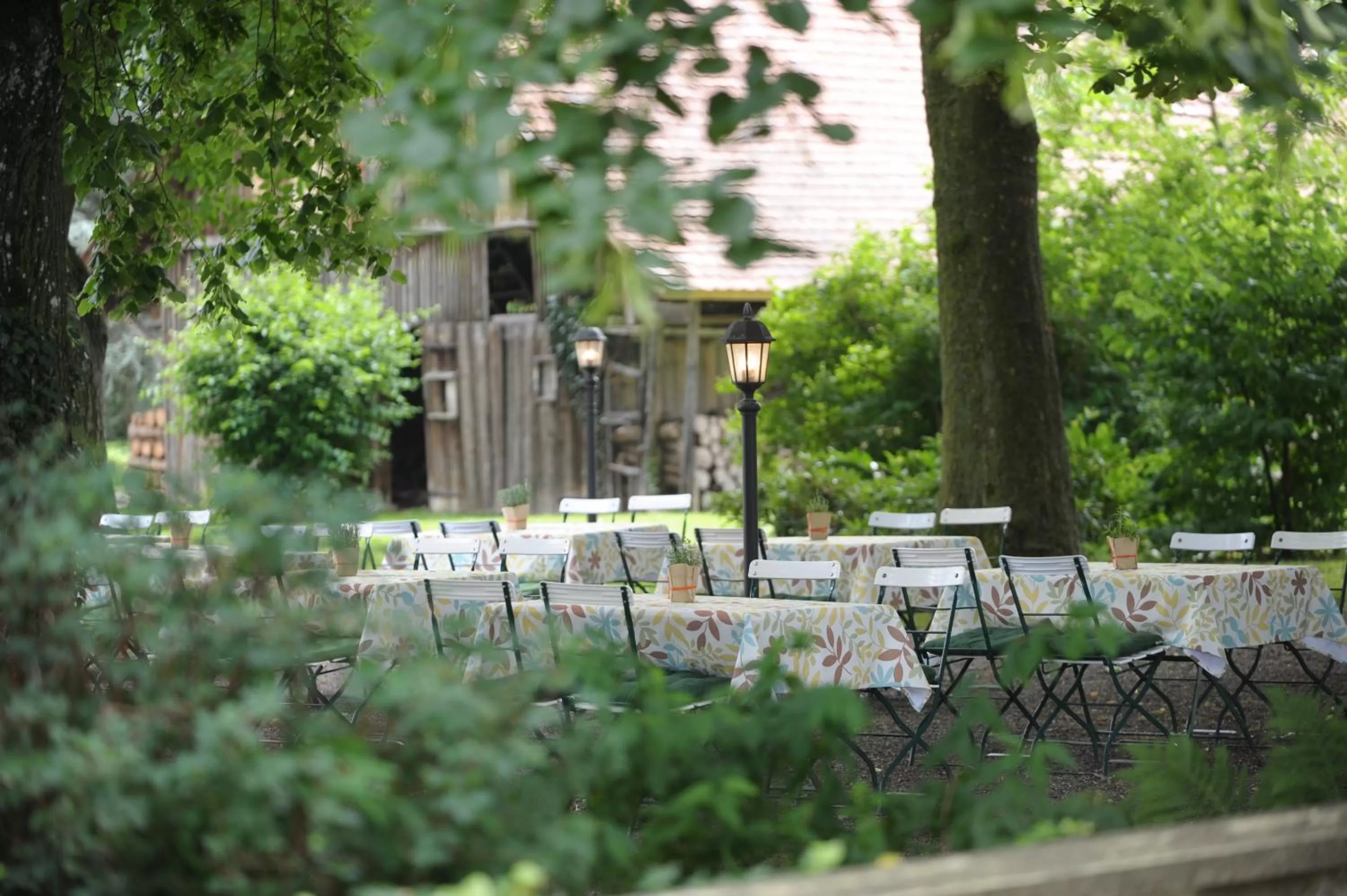 Garden in Hotel Gasthaus Adler