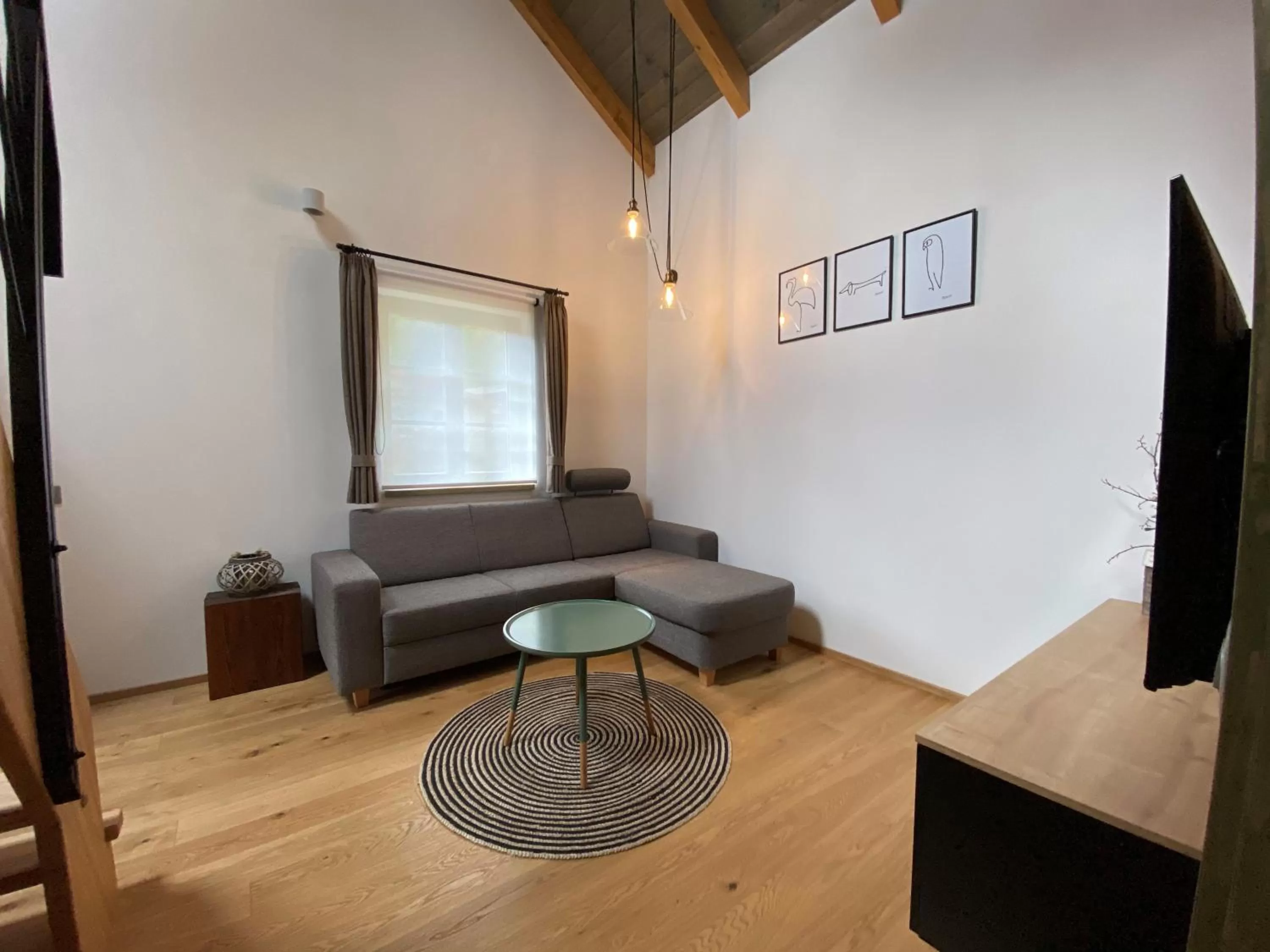 TV and multimedia in Penzion Stodola