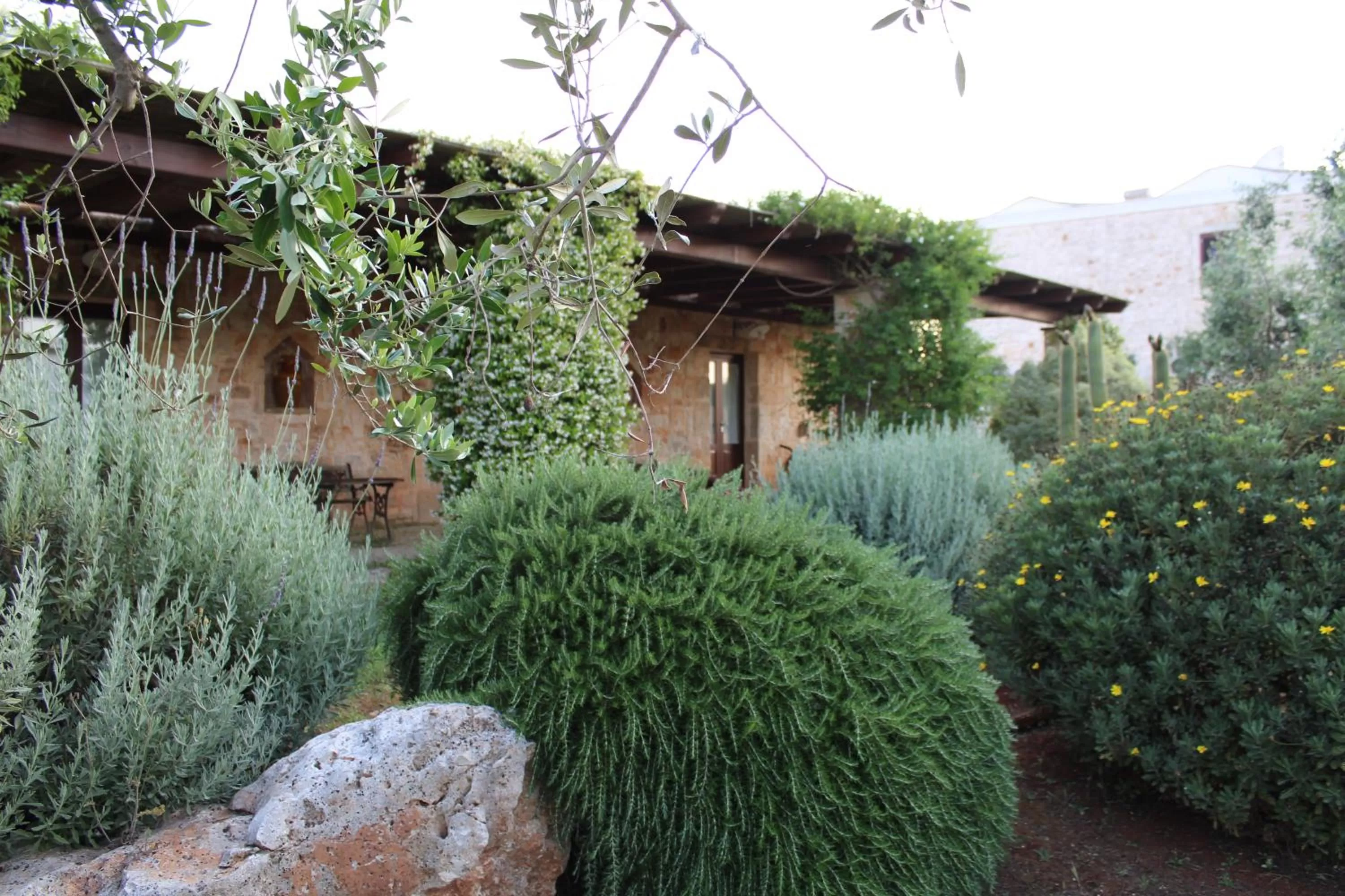 Garden view in Masseria Tolla