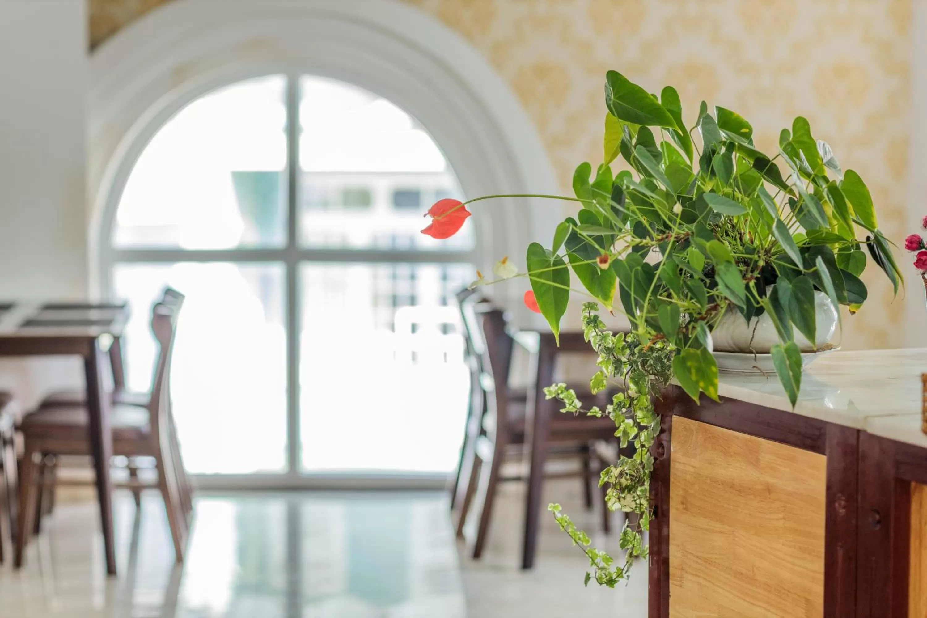 Restaurant/places to eat in President Hotel