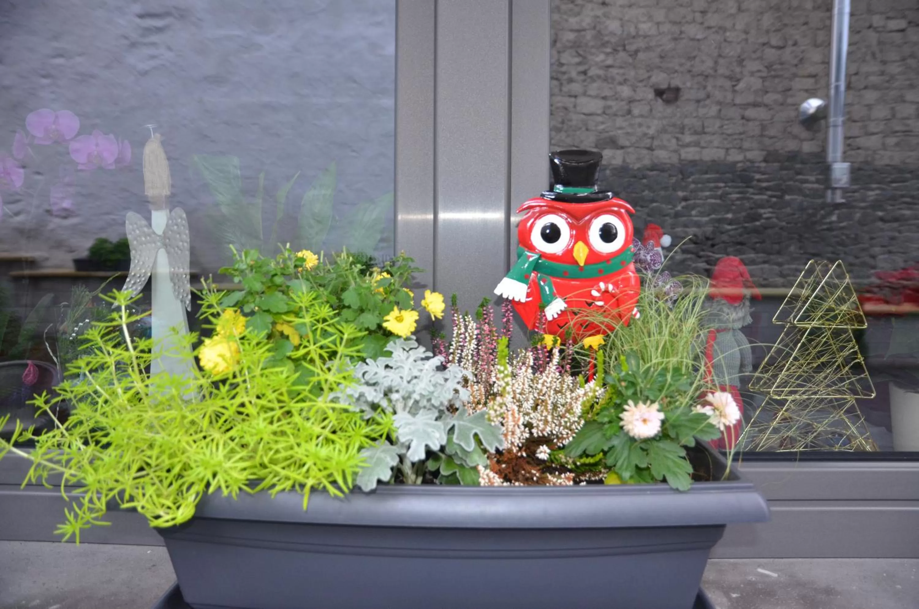 Winter in Gästehaus Am Hochsimmer