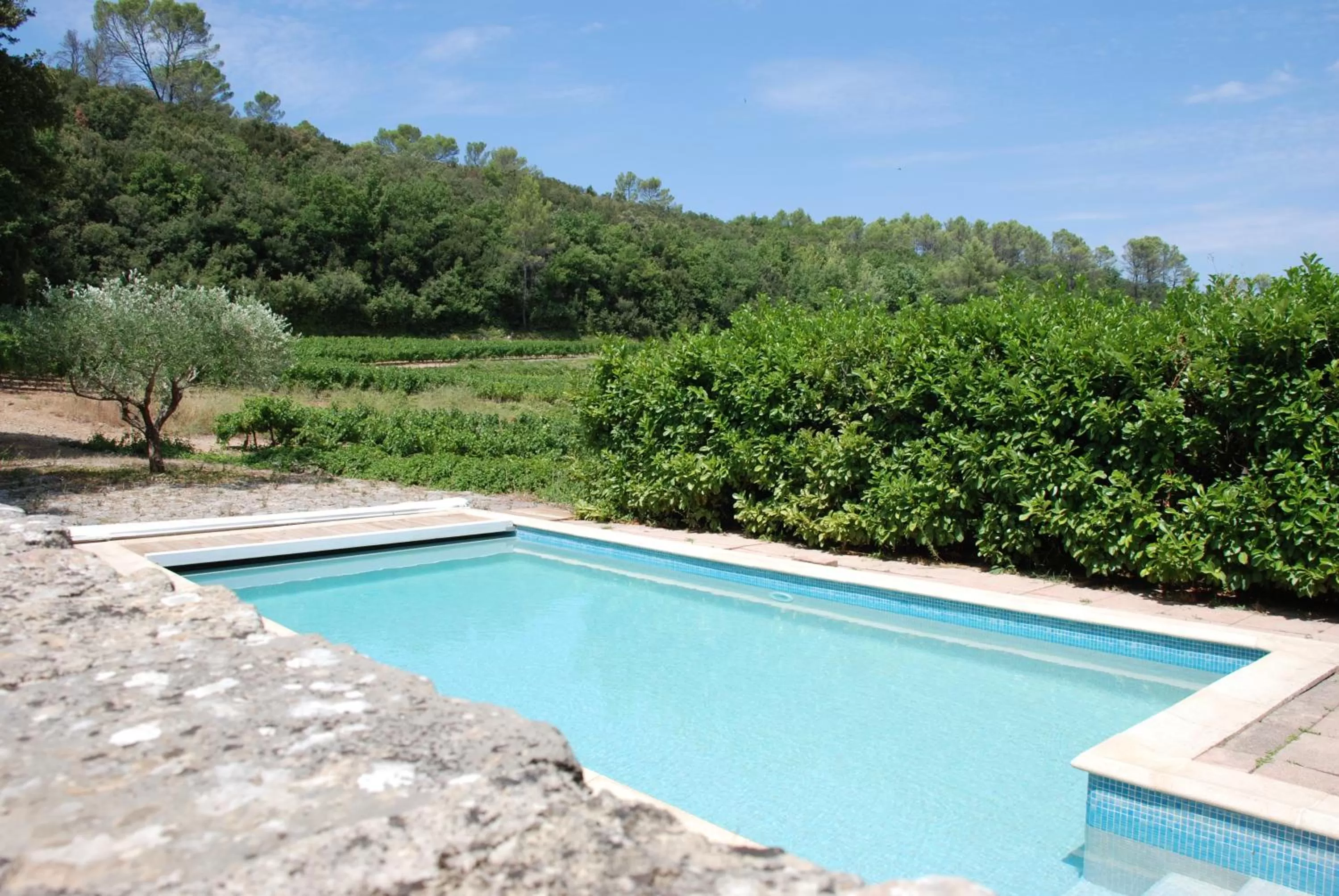 Pool view in Le Domaine Saint Martin