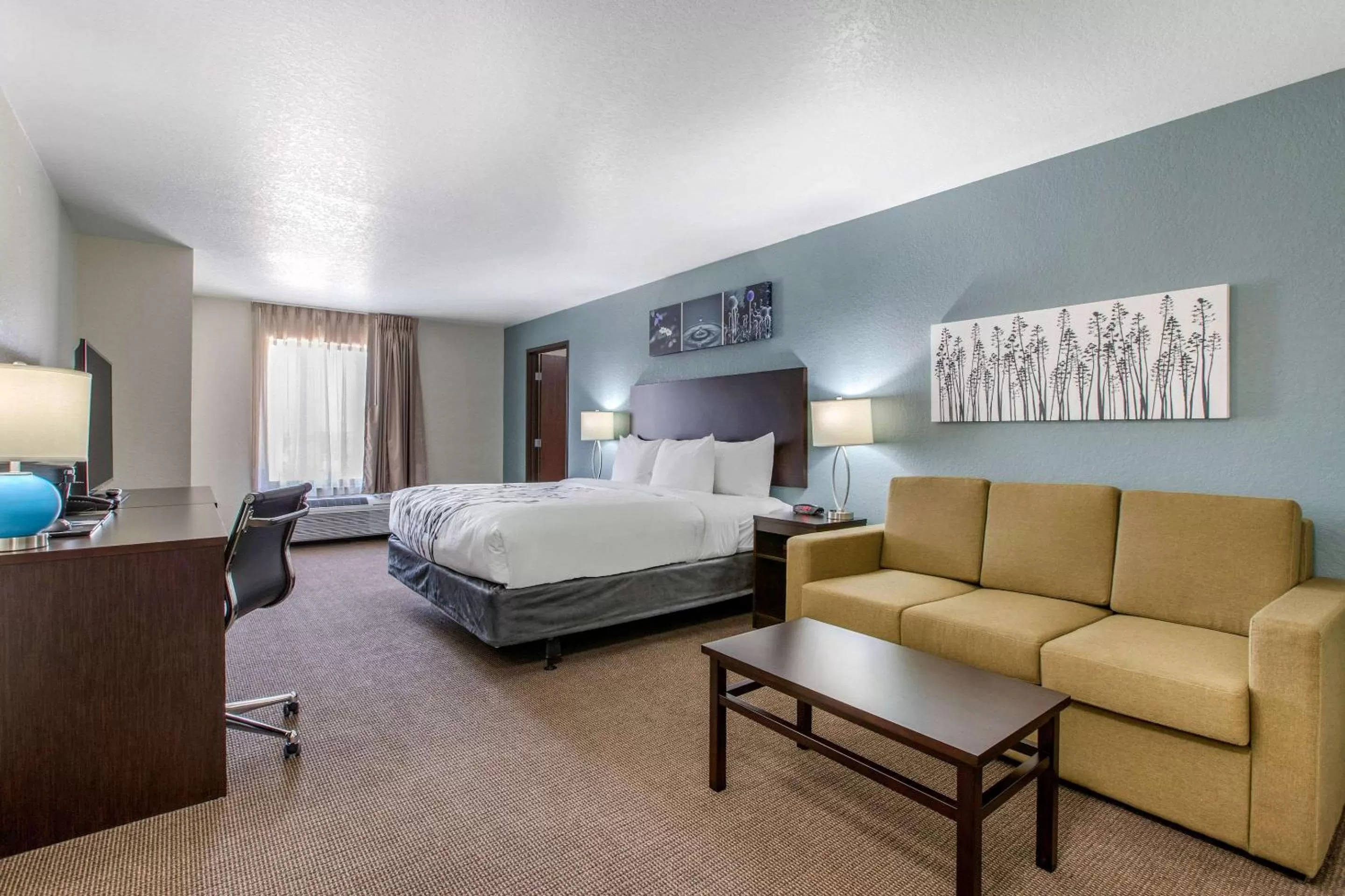 Photo of the whole room, Bed in Sleep Inn & Suites Ankeny - Des Moines