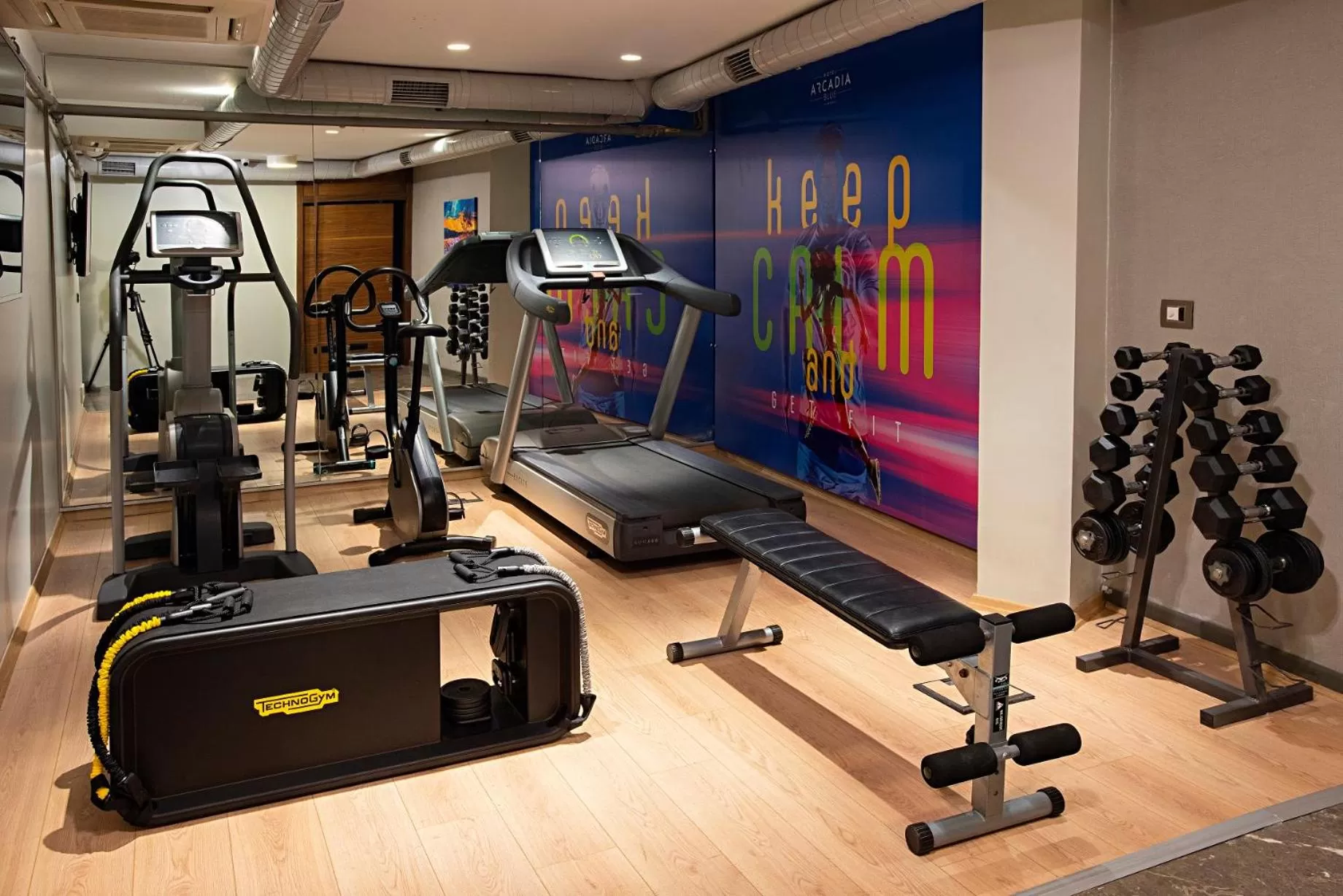 Fitness centre/facilities in Hotel Arcadia Blue Istanbul