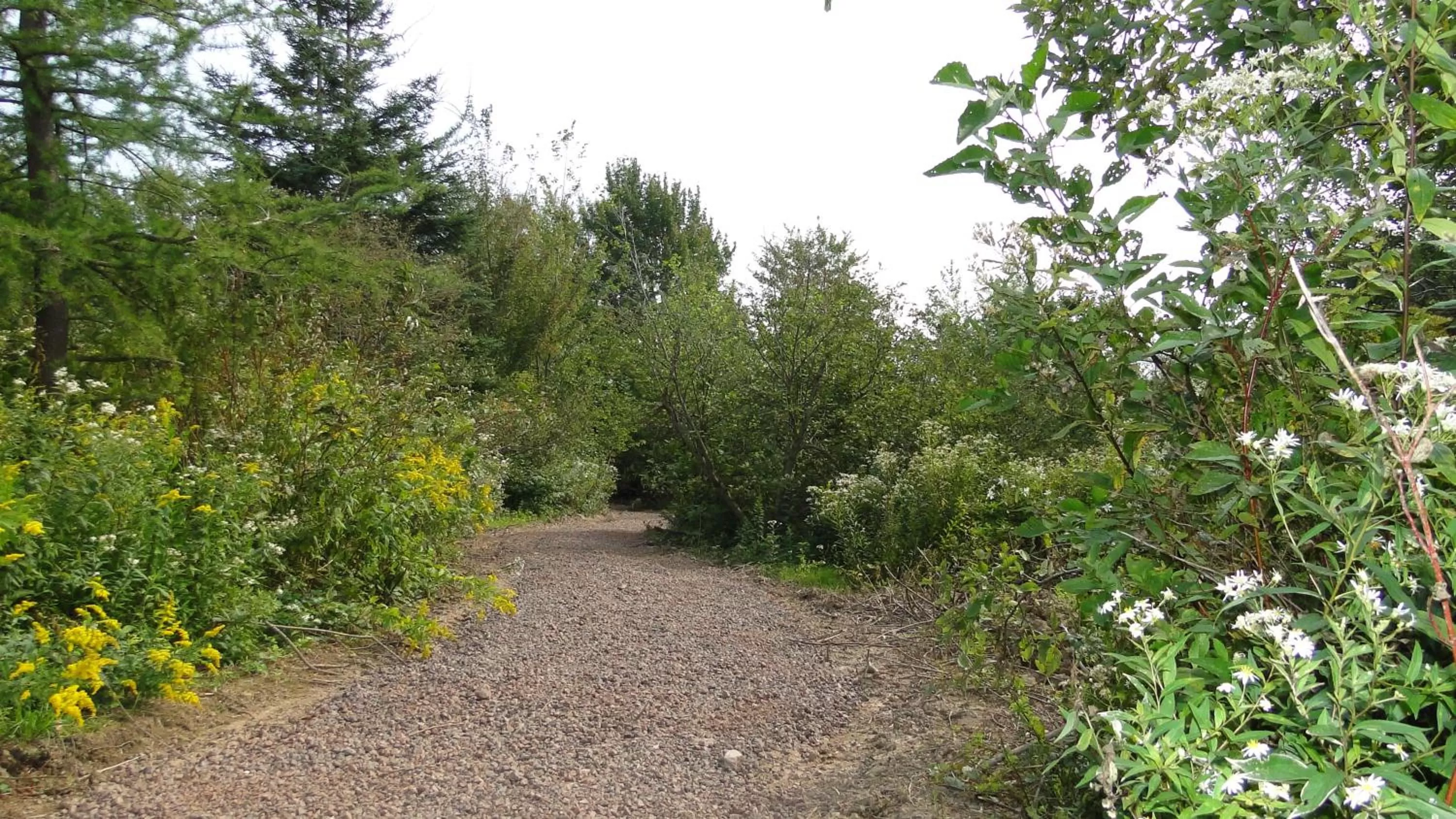 Garden in Auberge Wild Rose Inn
