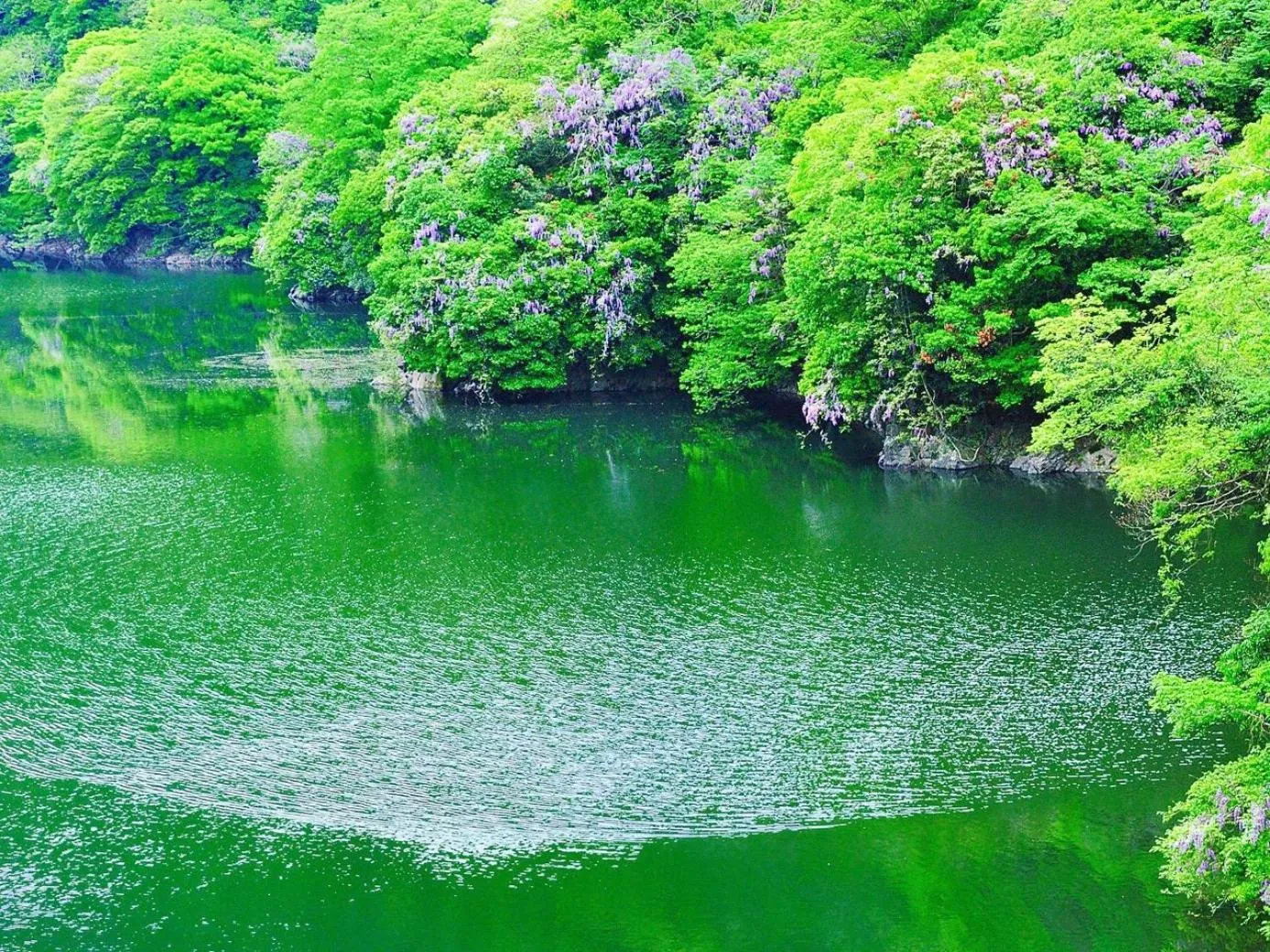 Off site in Hanayashiki Ukifune-en