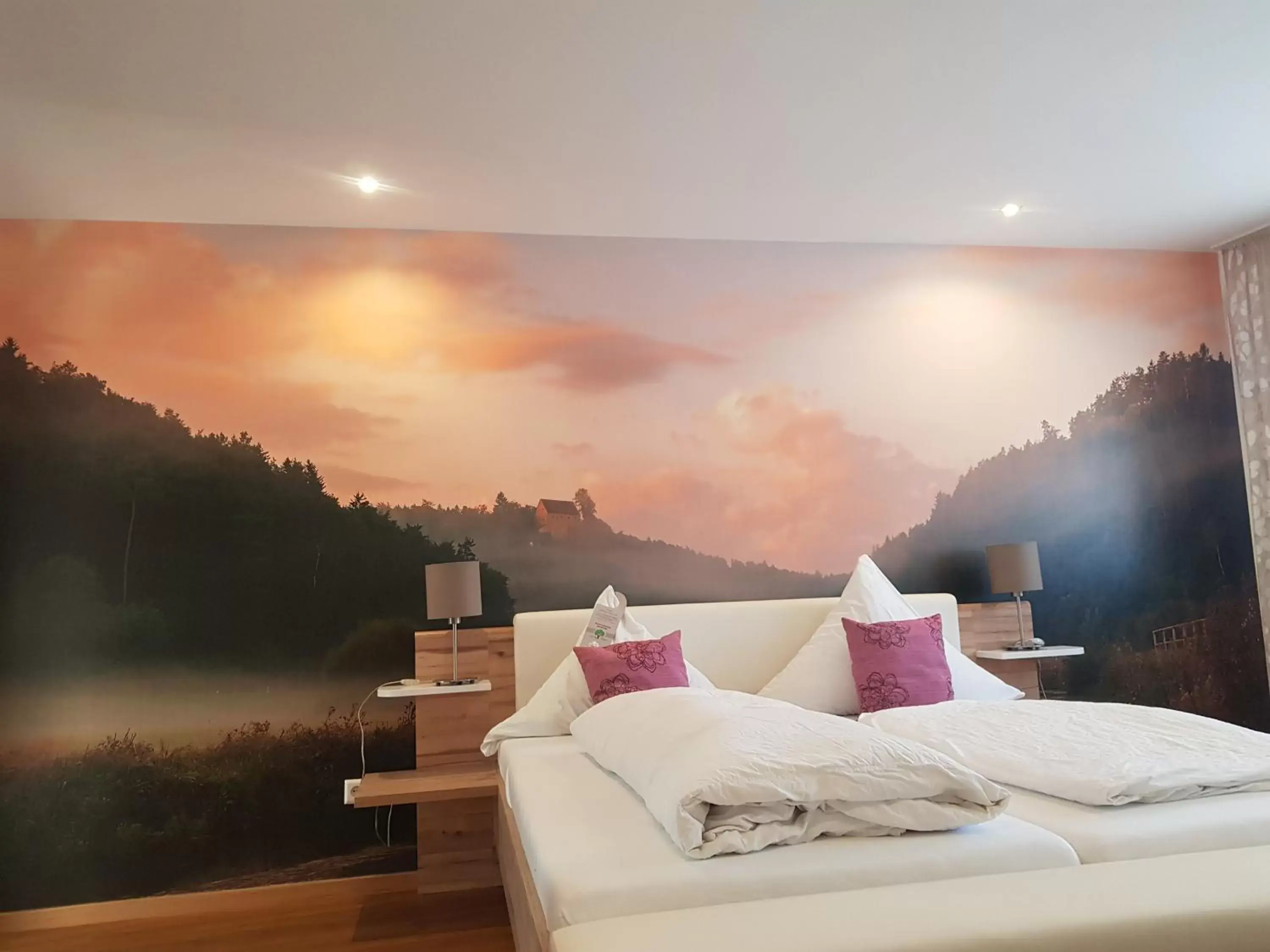 Deluxe Double Room in Gasthof Zur Seku Deluxe Double Room in Gasthof Zur Seku