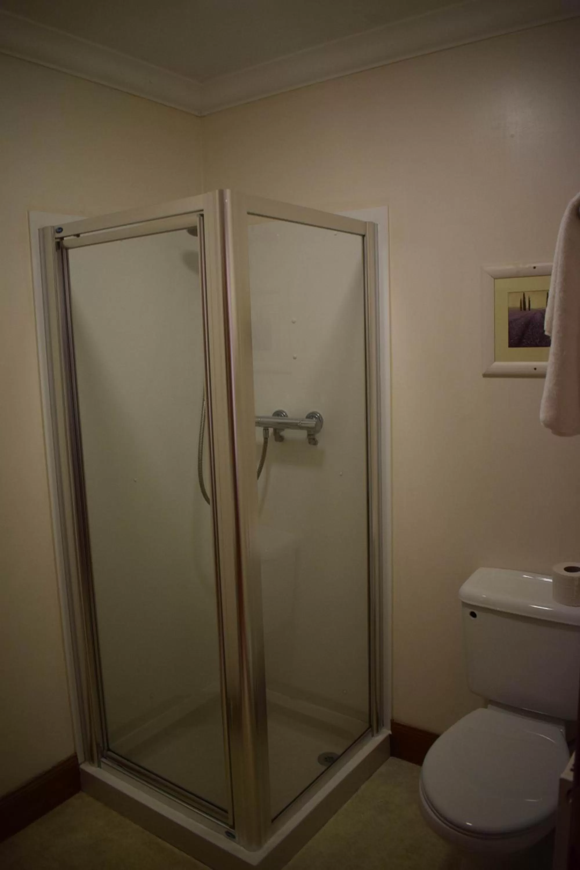 Shower in GOLF View Hotel & Macintosh Restaurant