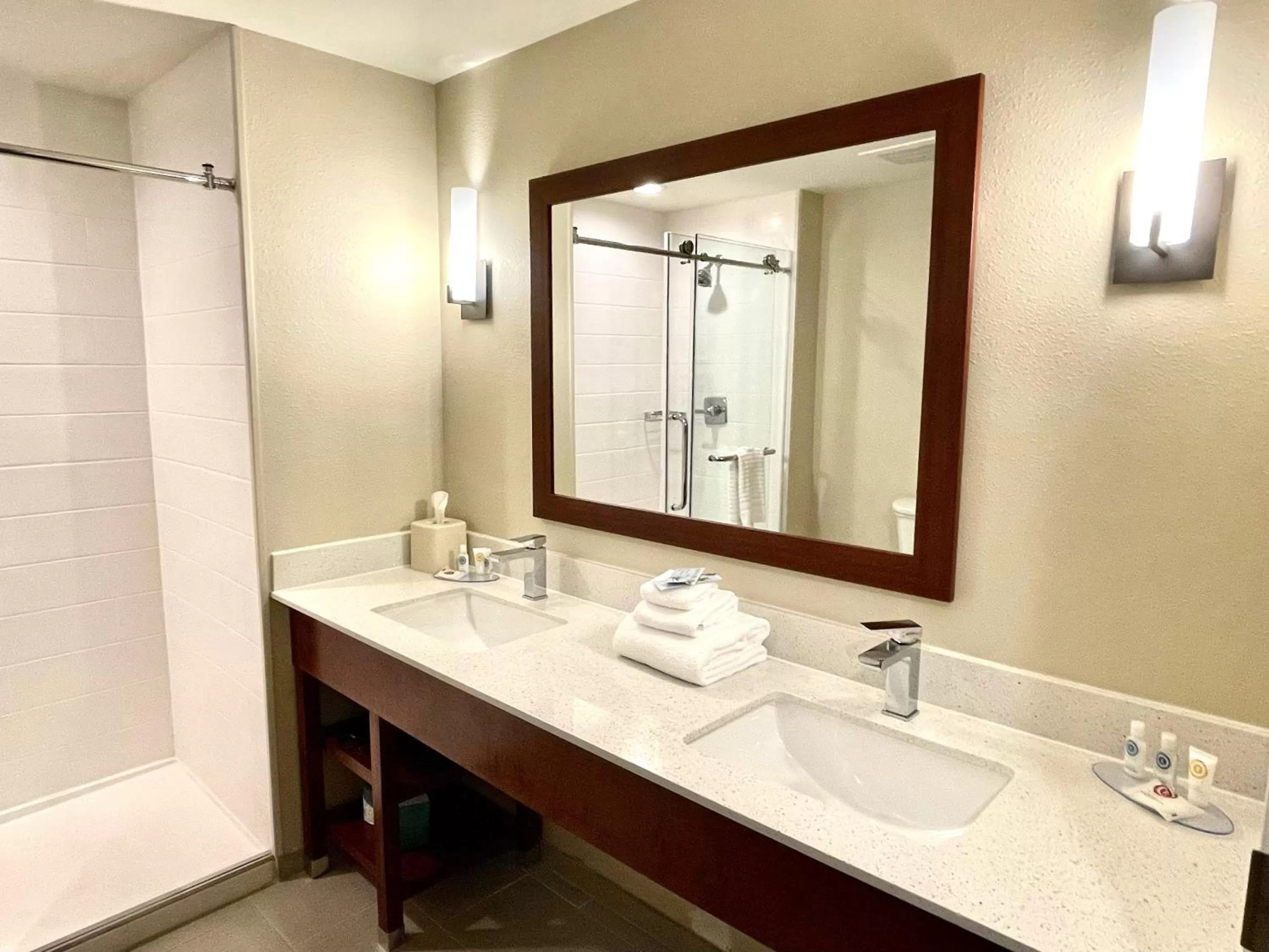 Bathroom in Comfort Inn & Suites Harrisonburg