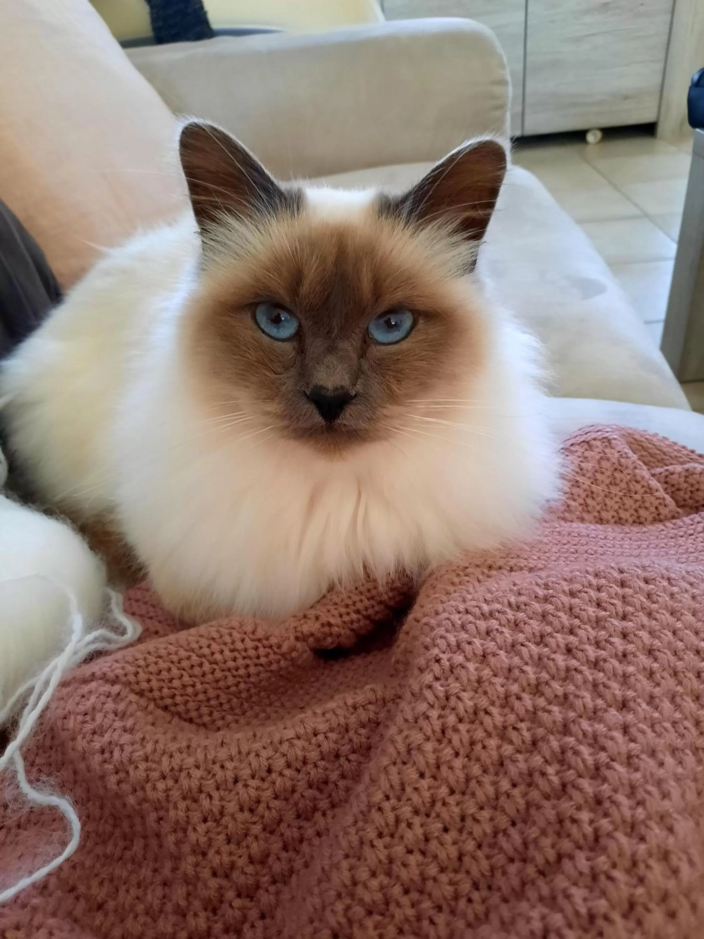 Other in L'instant bleu