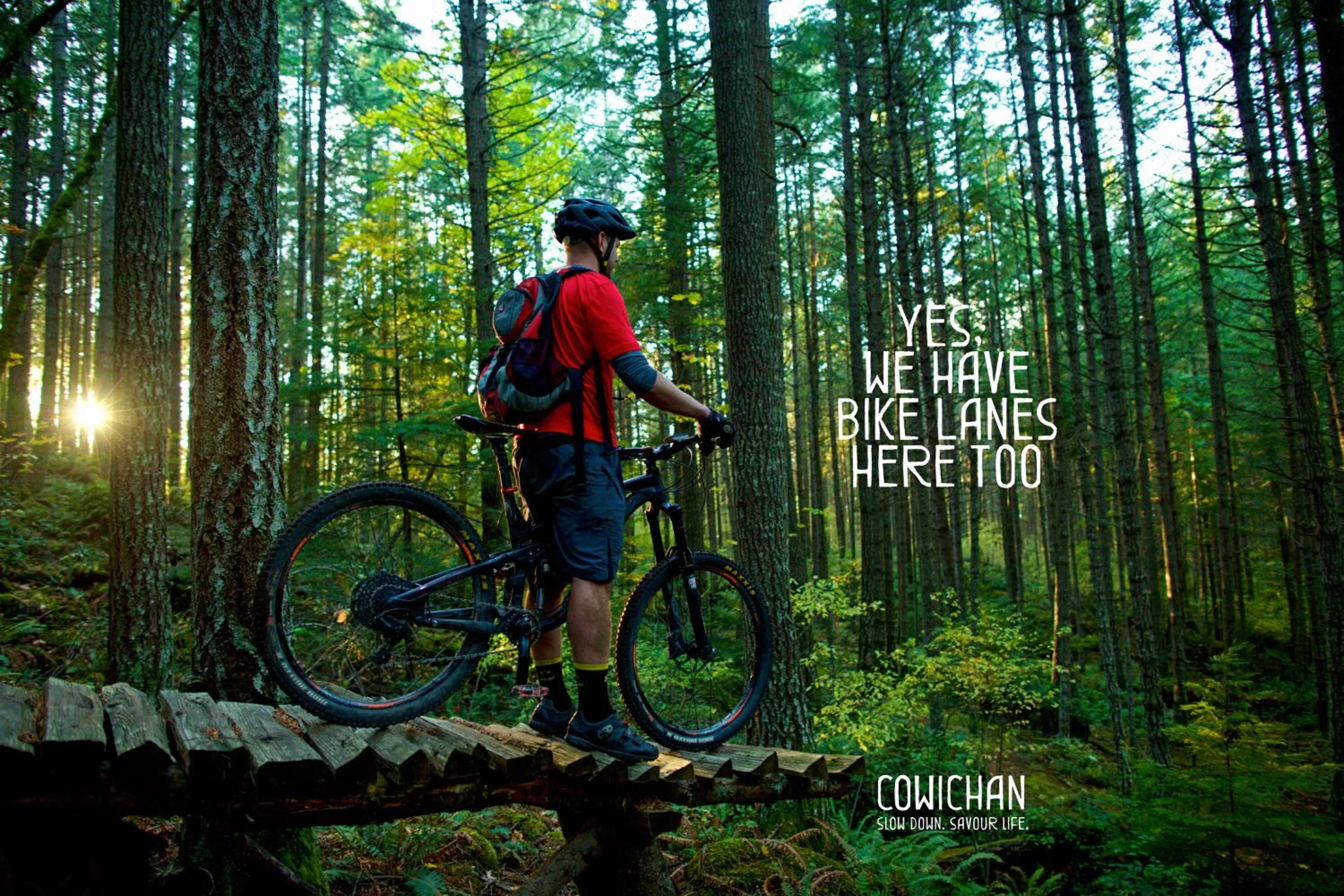 Cycling in Microtel Inn & Suites by Wyndham Oyster Bay Ladysmith