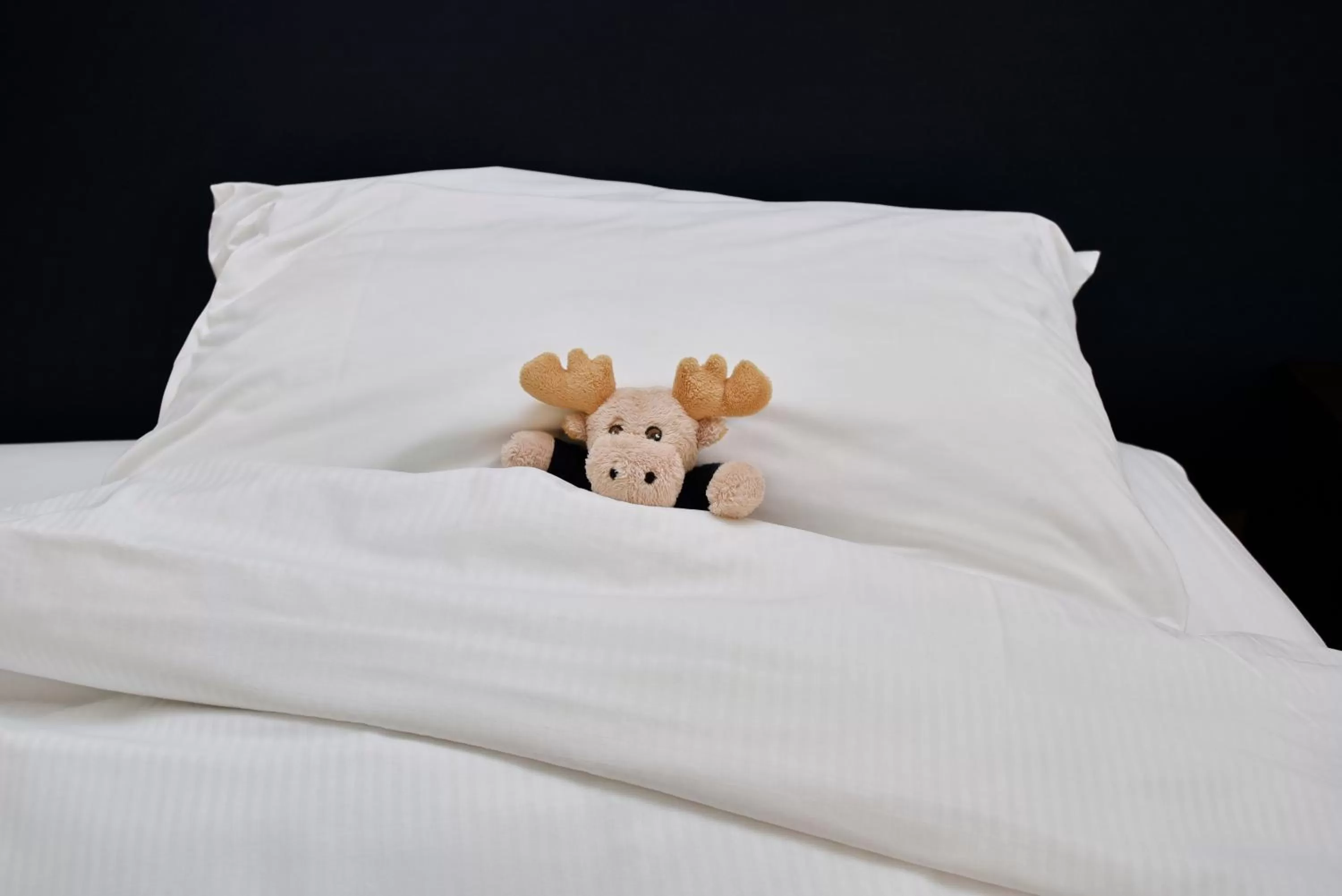 Bed in The Riverstone