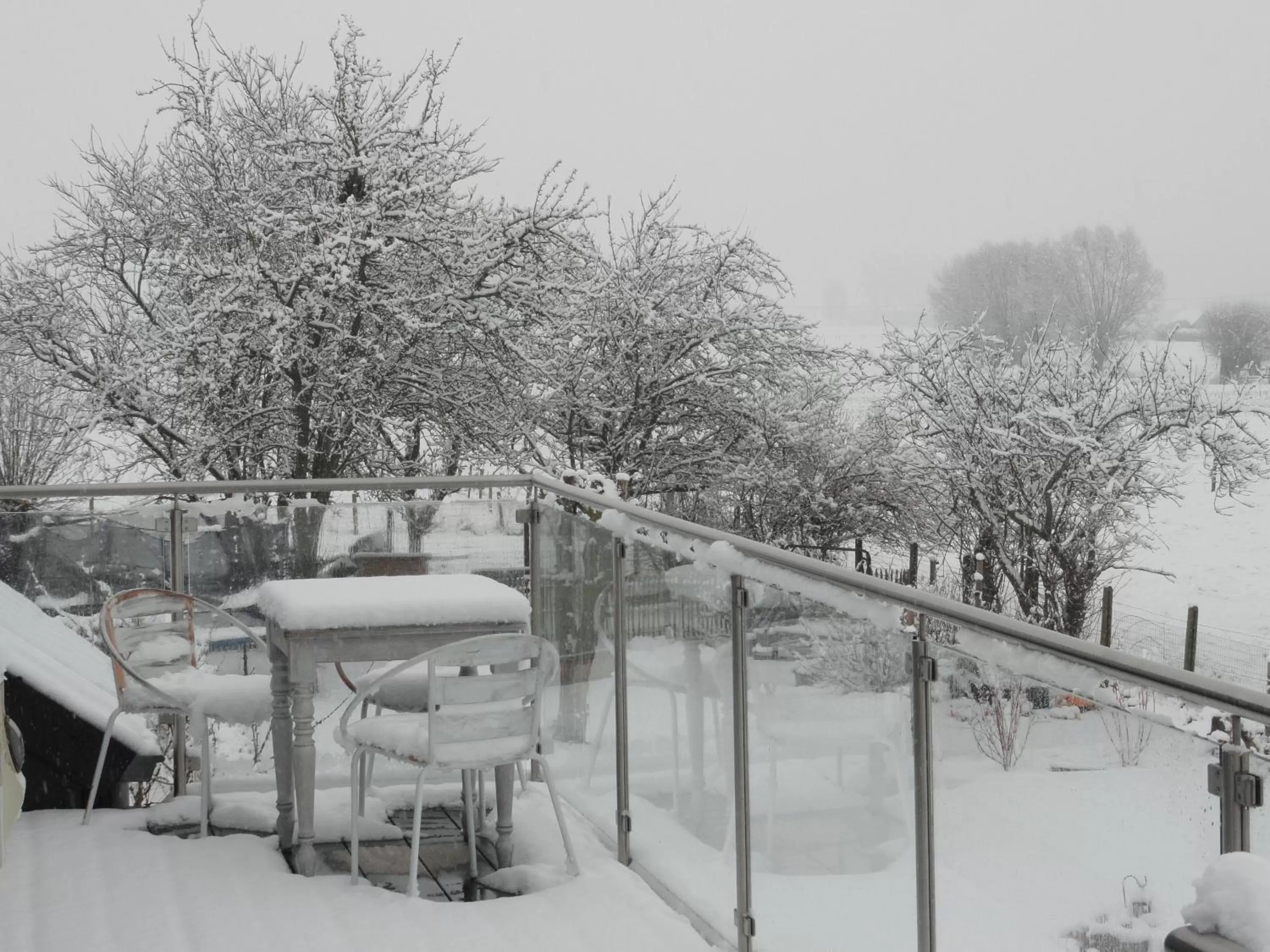 Natural landscape, Winter in B&B Altijd Genieten