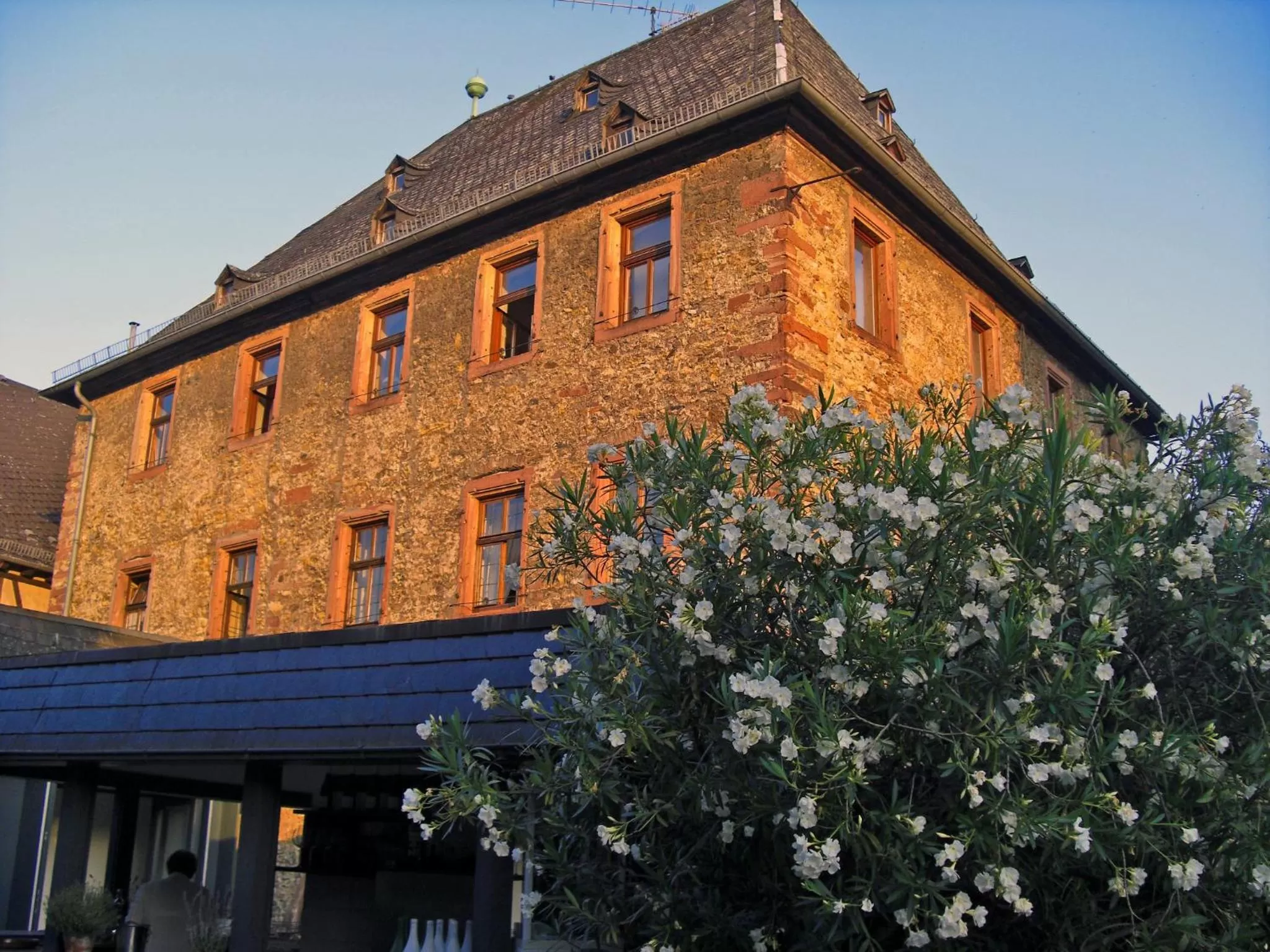 Property Building in Wein Hotel Koegler