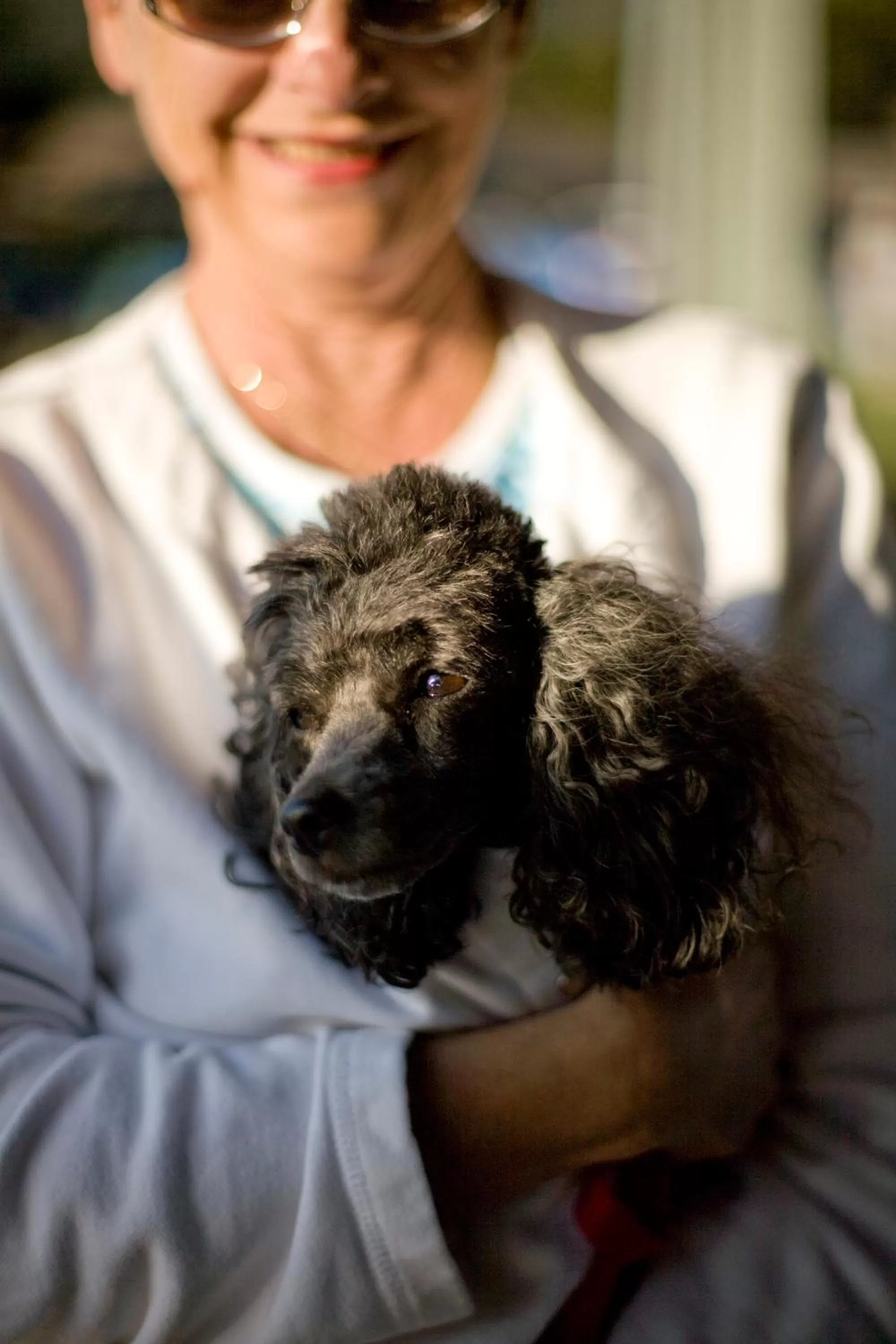 Pets in Cambria Shores Inn