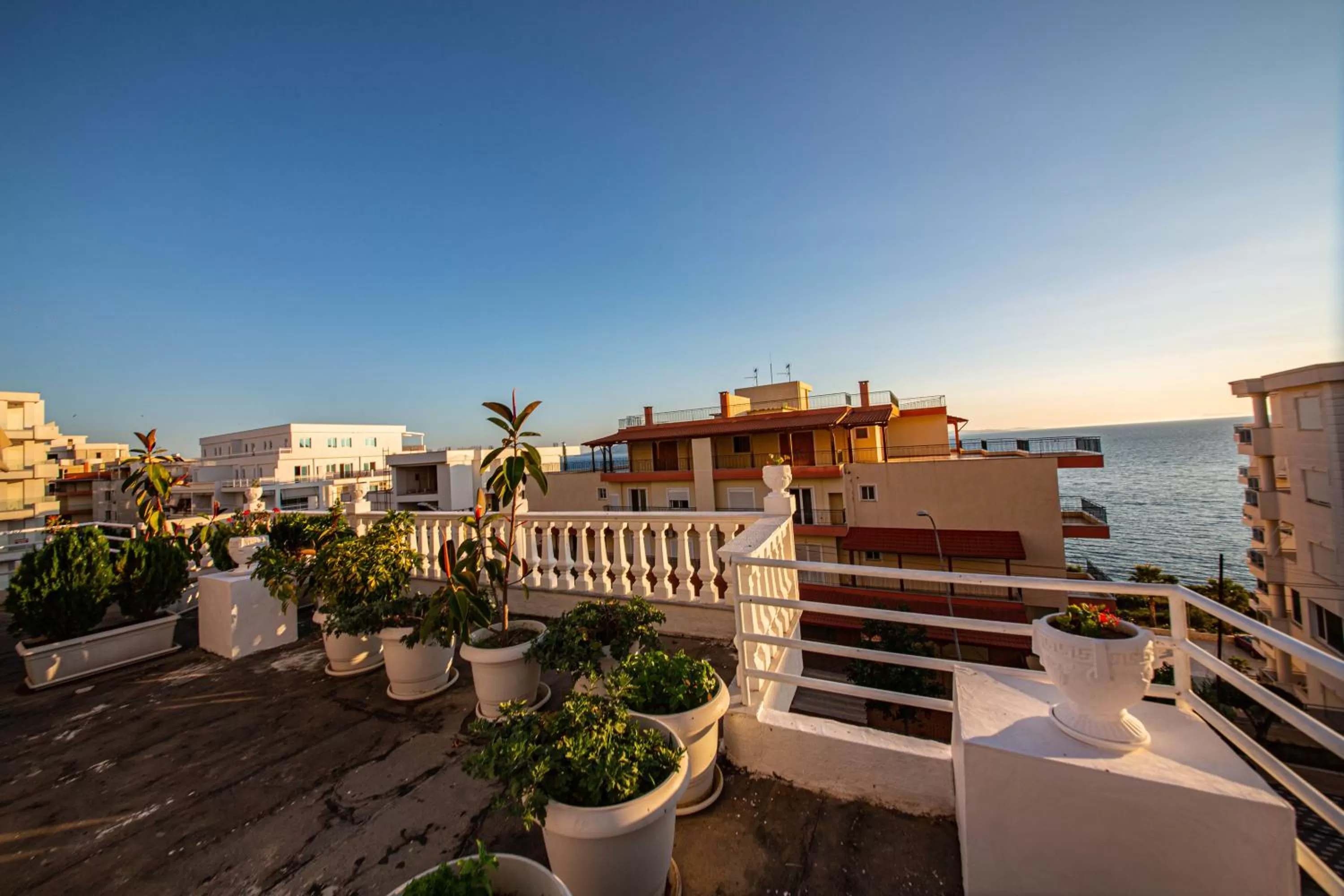 Balcony/Terrace in Hotel Primavera