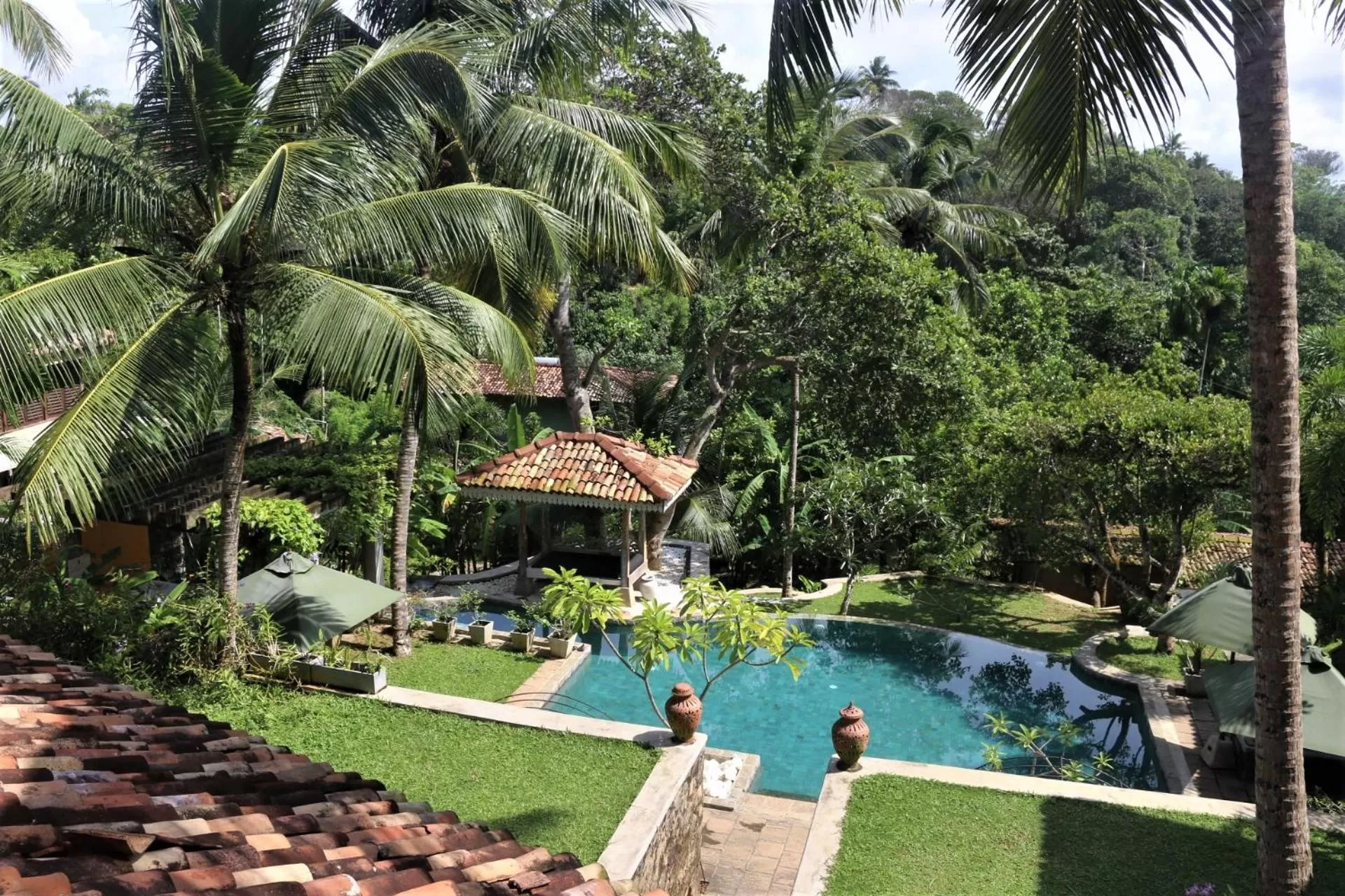 Garden, Pool View in The Spice House Mirissa