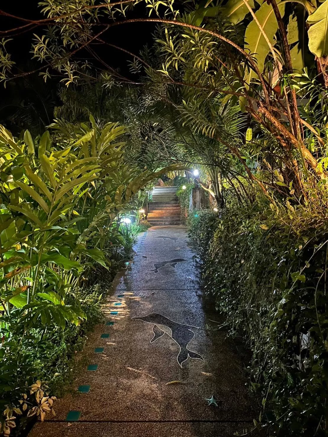 HULA HULA RESORT l truly tropical and fun wellness