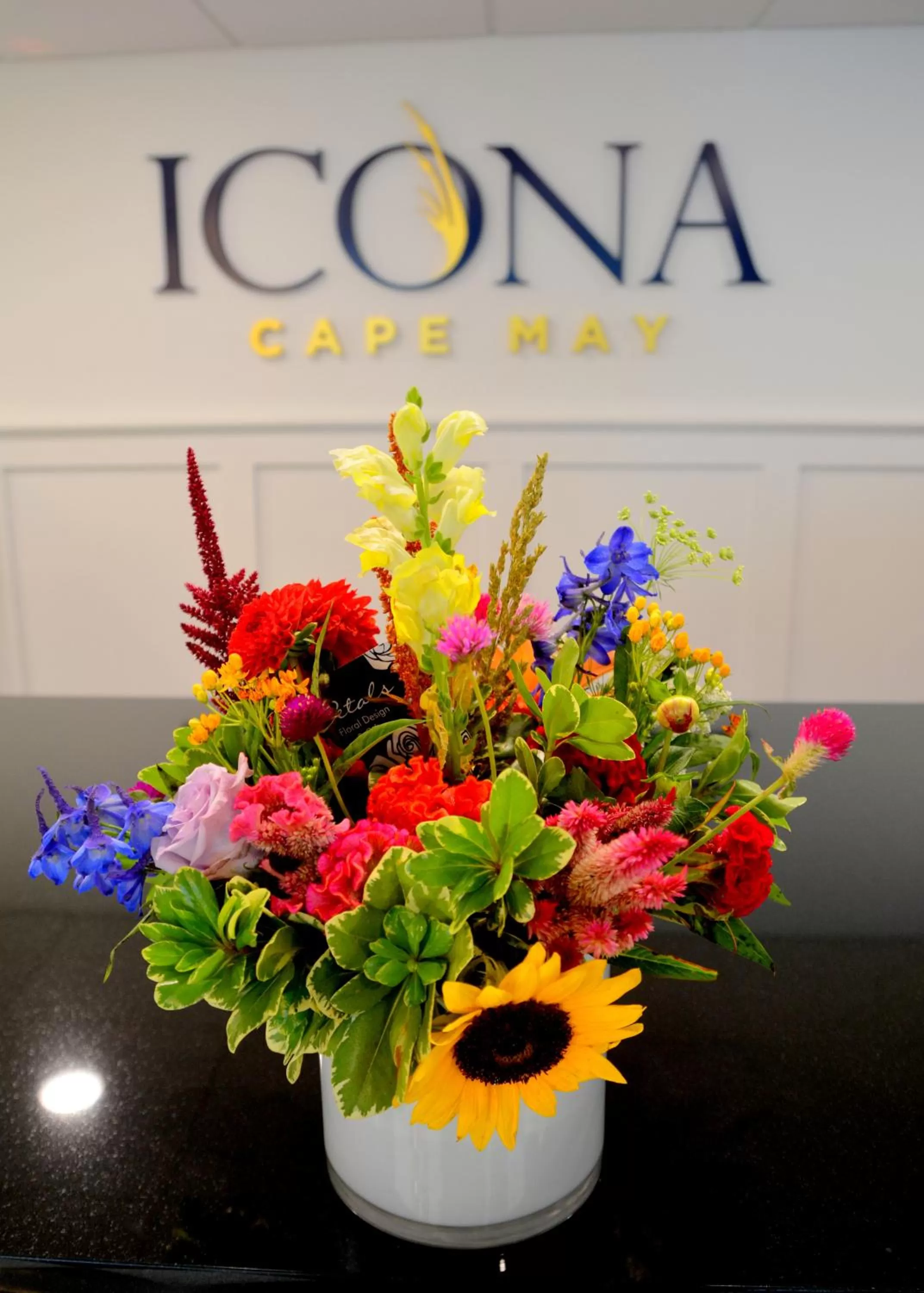 Other in ICONA Cape May