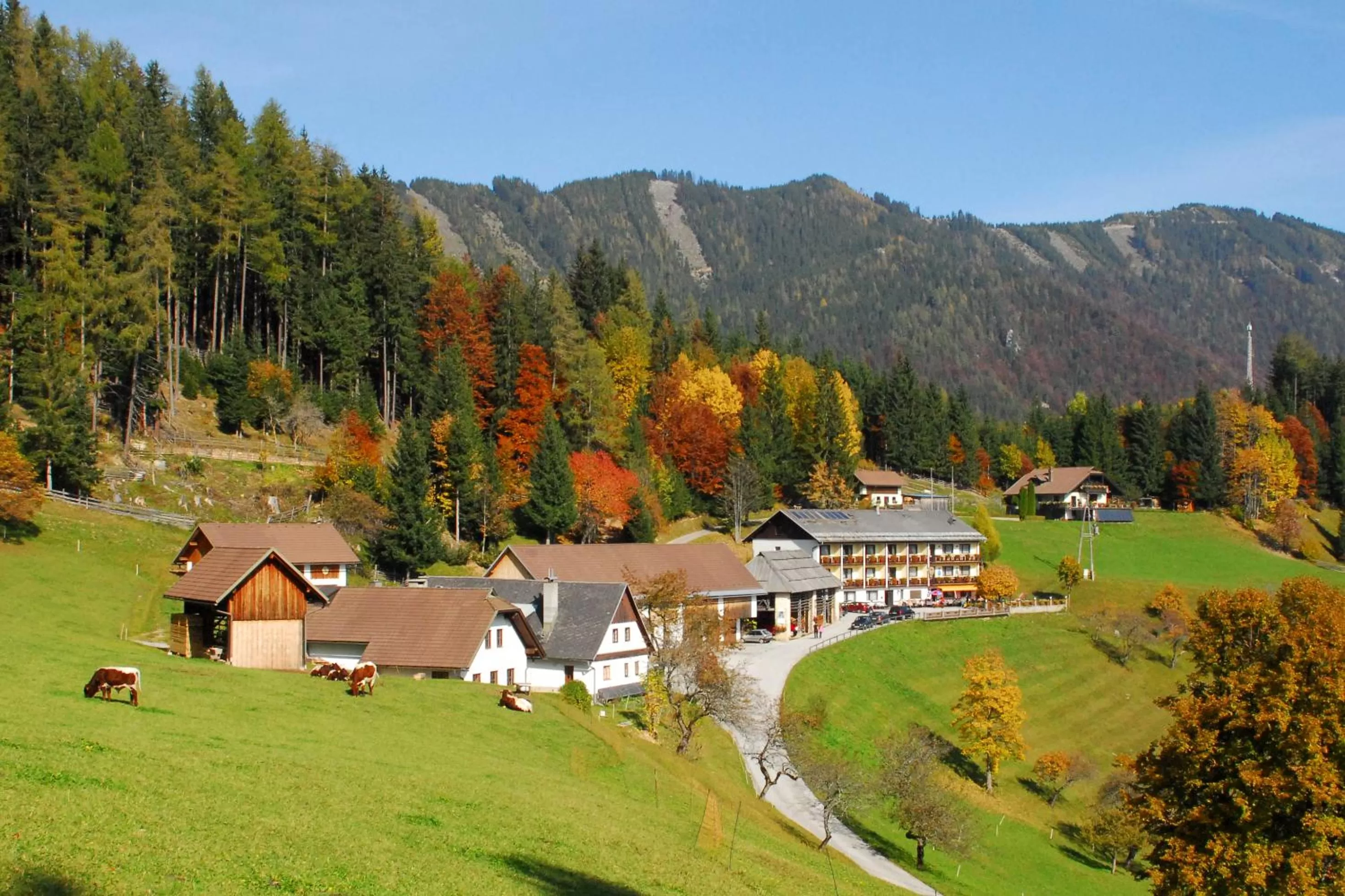 Property building in Bed&Breakfast Lausegger