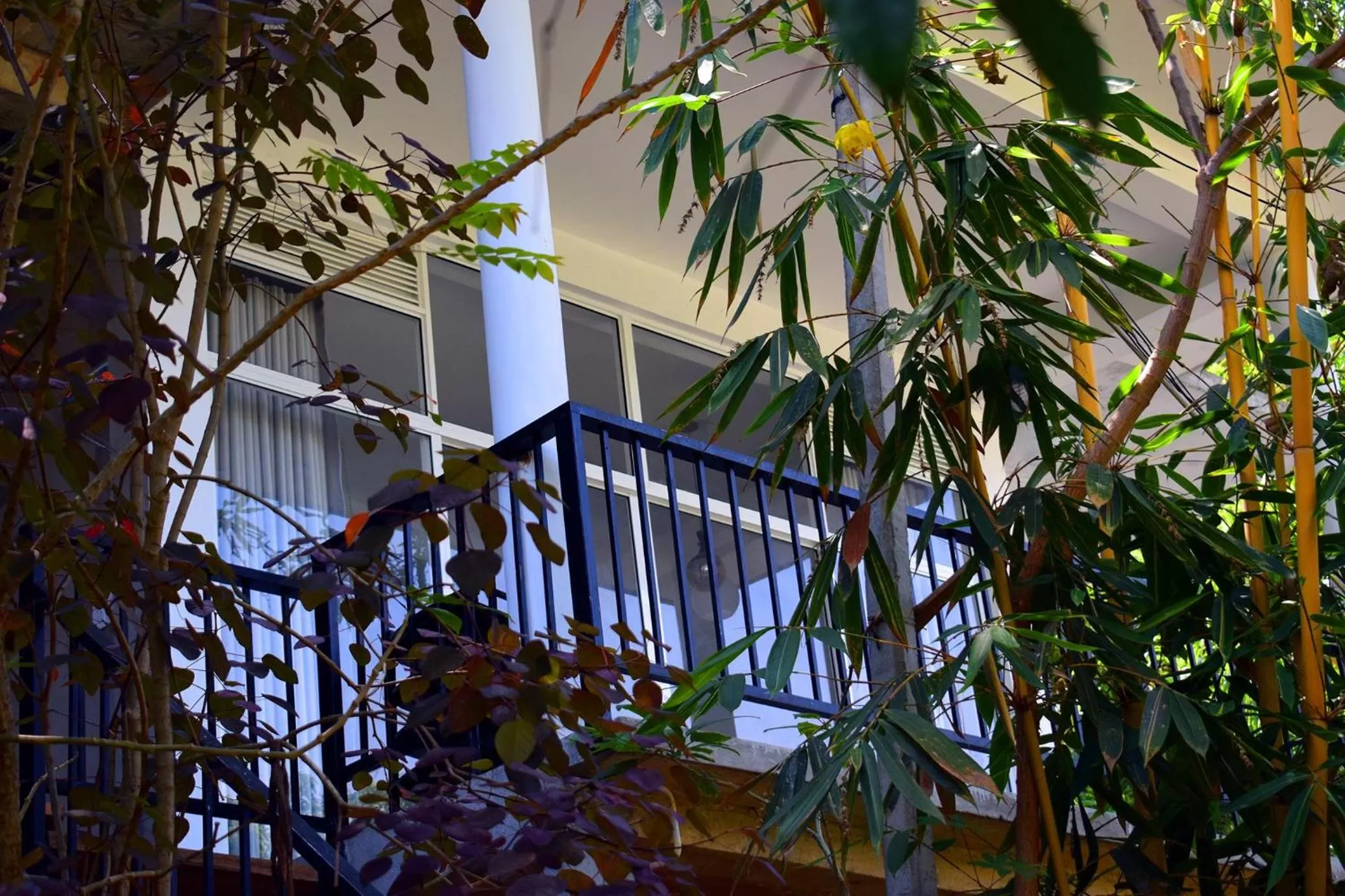 Balcony/Terrace, Property Building in Raveena Guest House