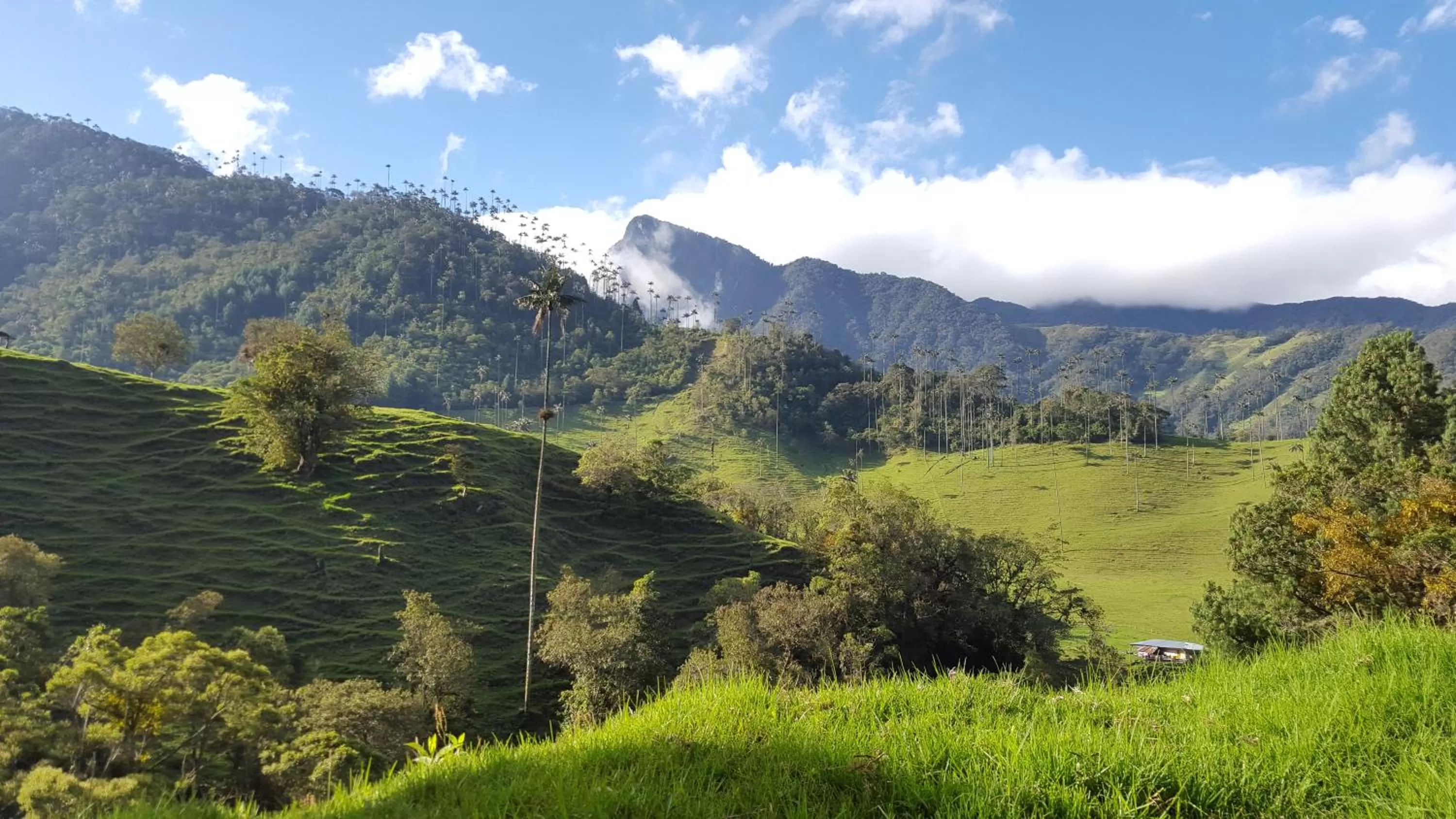 Off site, Natural Landscape in Beta Hotel