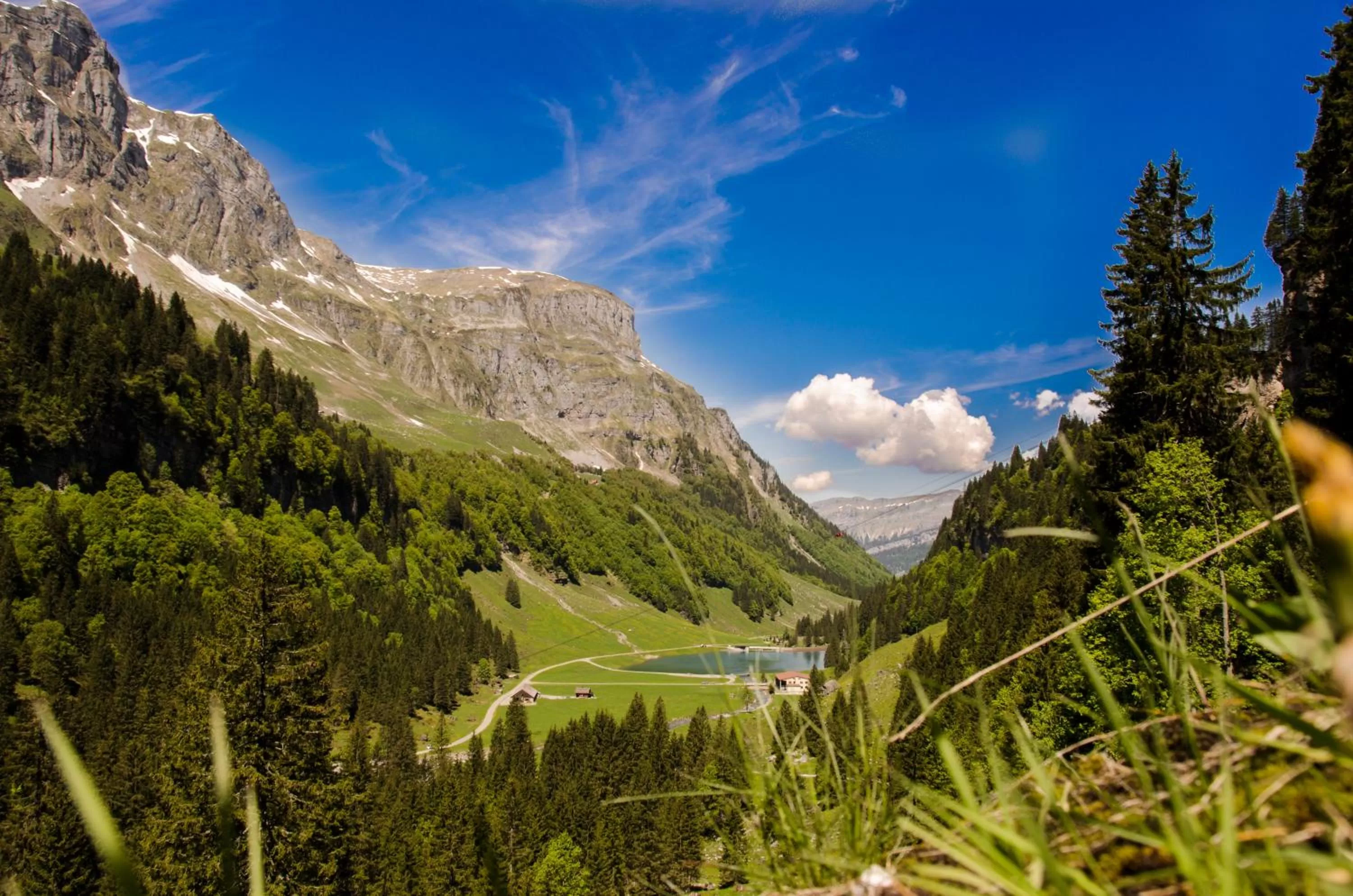 Nearby landmark in Bnbetschart