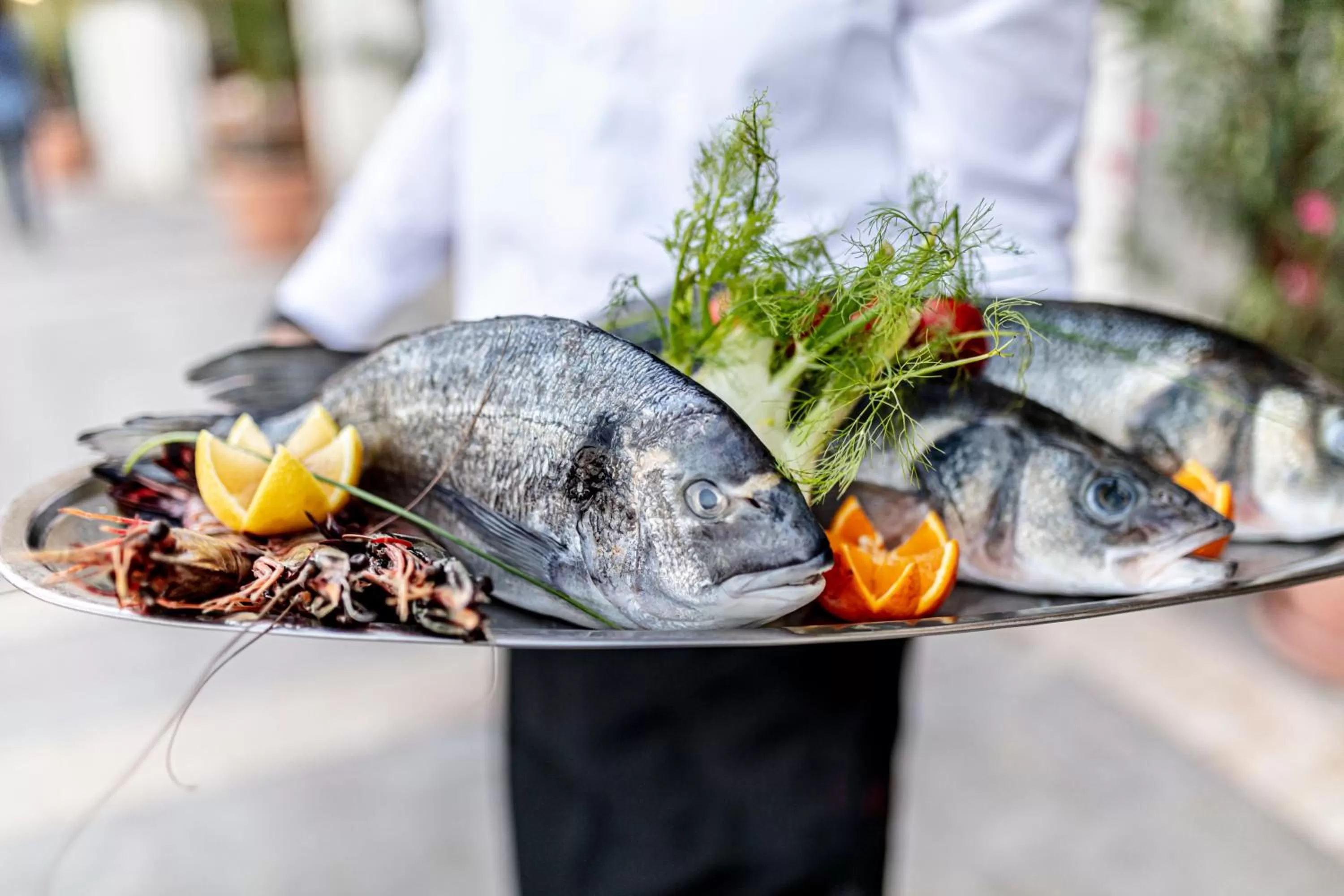 Food and drinks in Lighthouse Golf & Spa Hotel