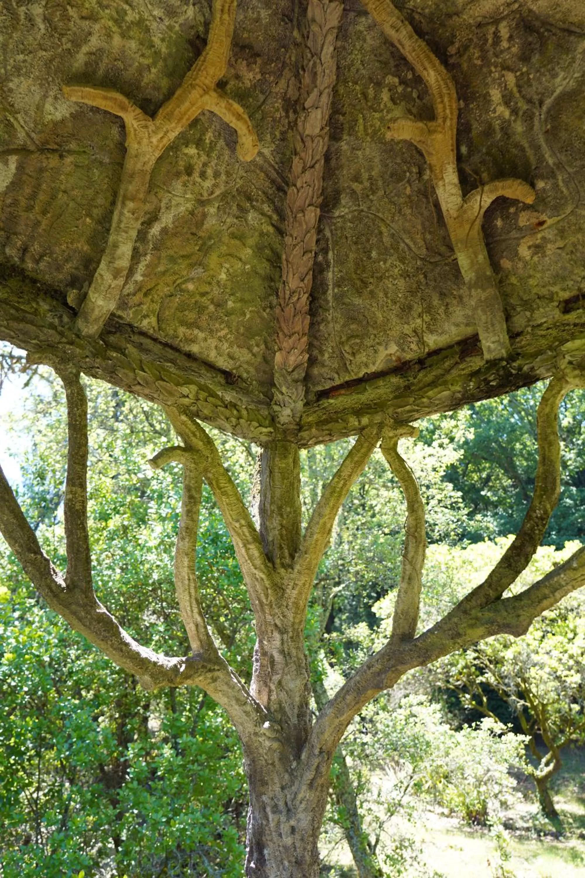 Natural landscape in The Grove Houses