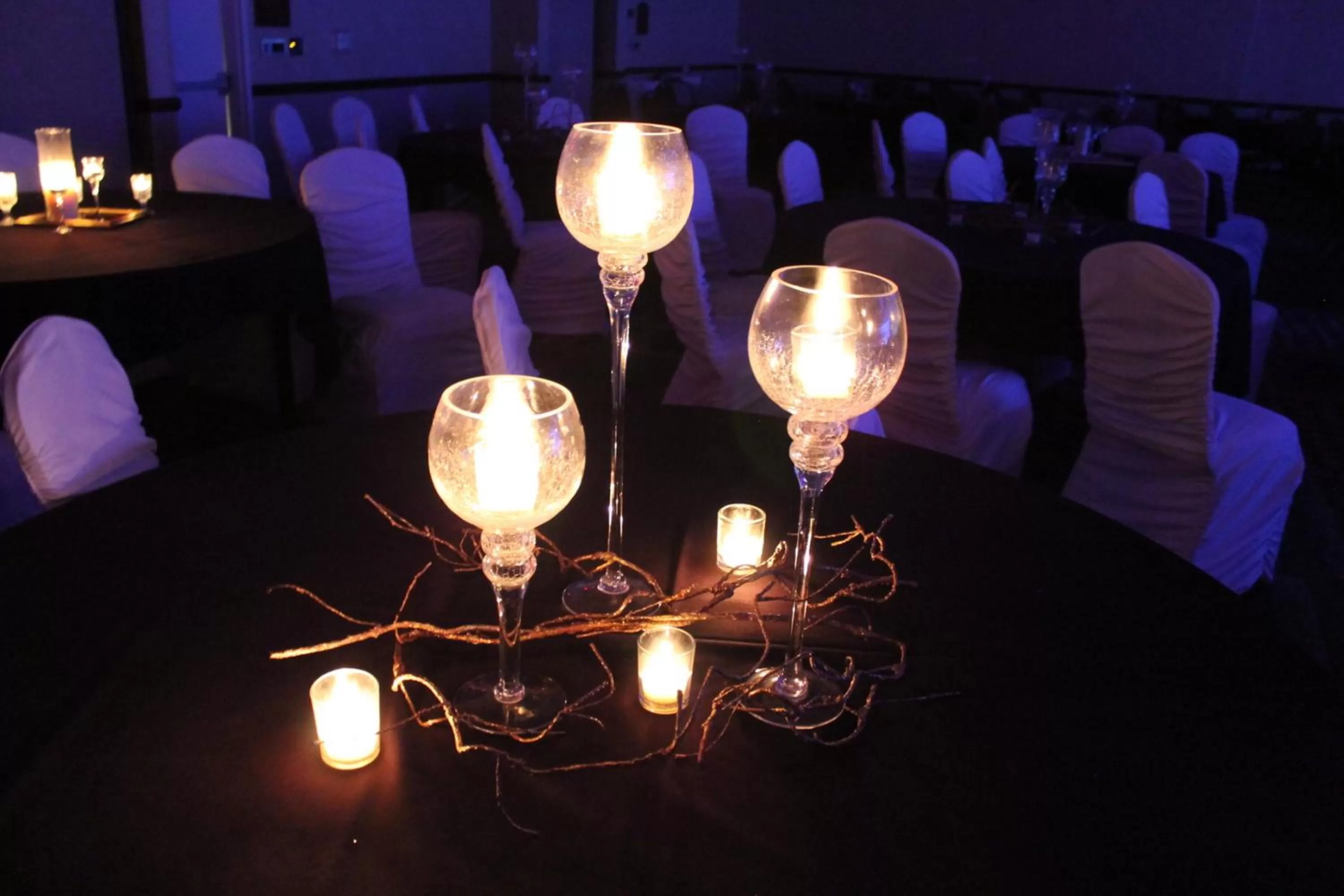 Banquet/Function facilities in Holiday Inn Conference Center Marshfield by IHG