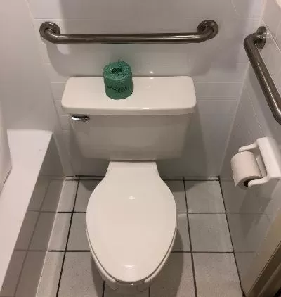 Toilet in Roadstar Hotel Zephyrhills