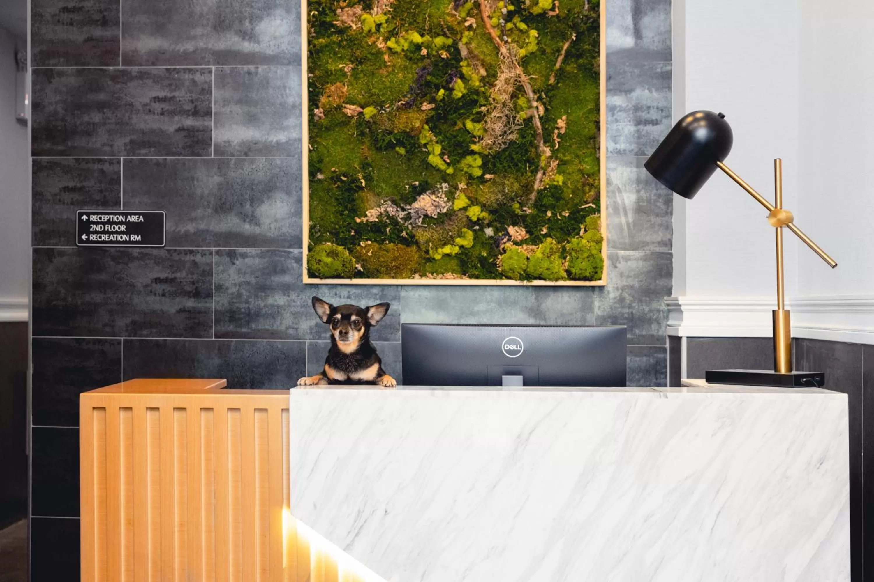 Staff in The Modernist Hotel