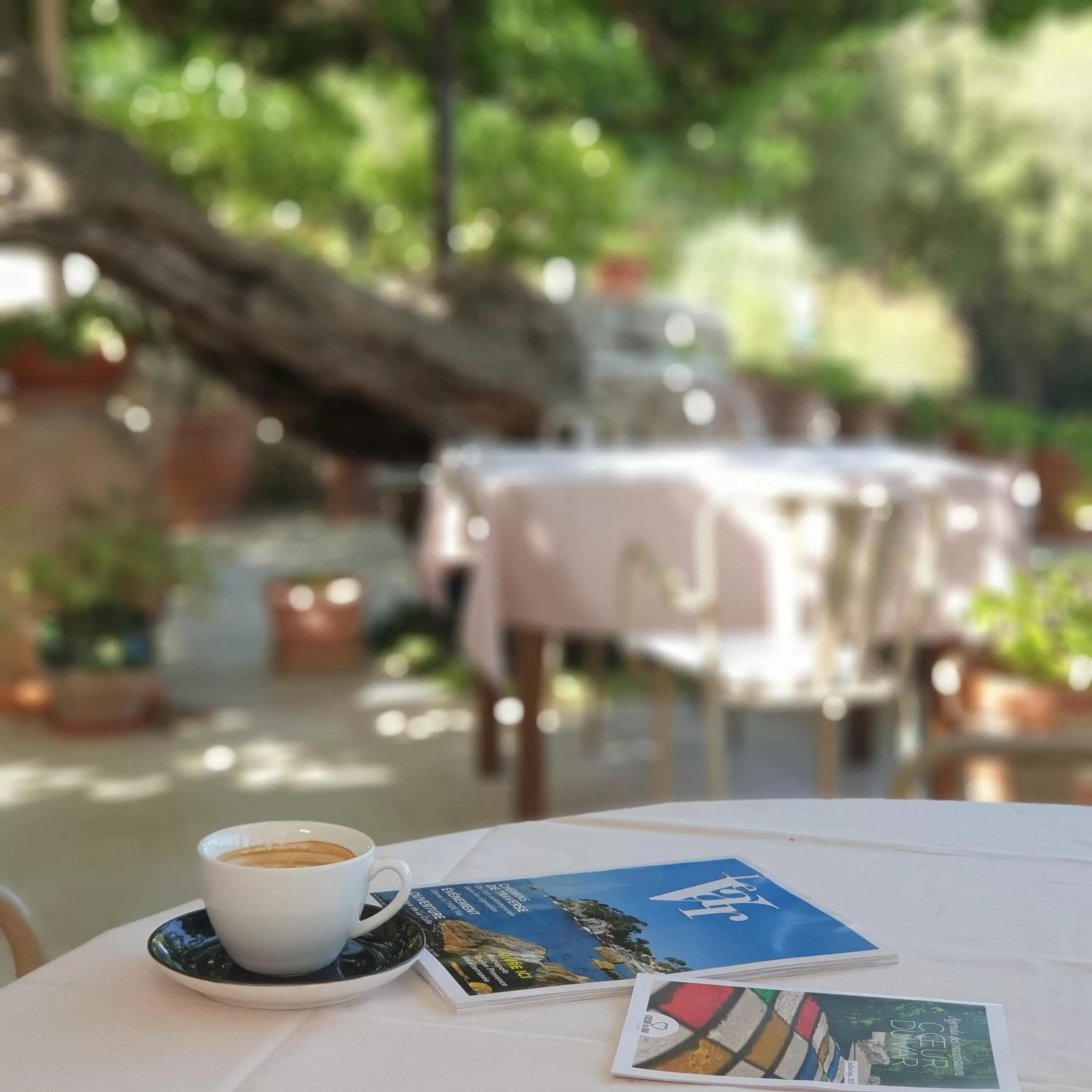 Restaurant/places to eat in Domaine du Lac - Teritoria